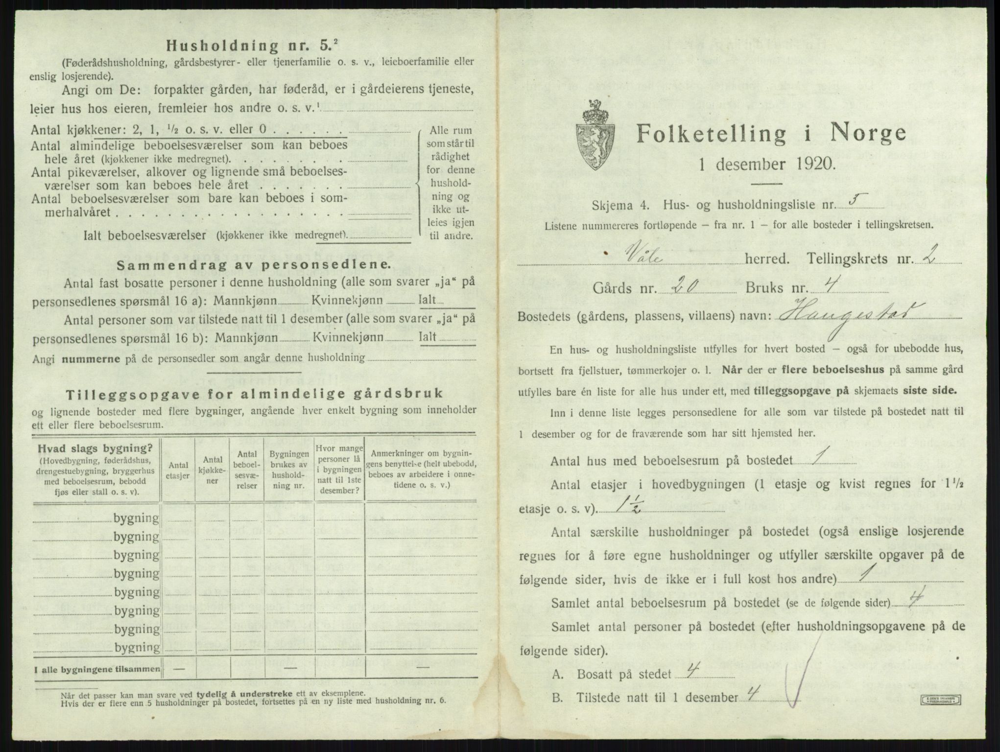 SAKO, 1920 census for Våle, 1920, p. 204