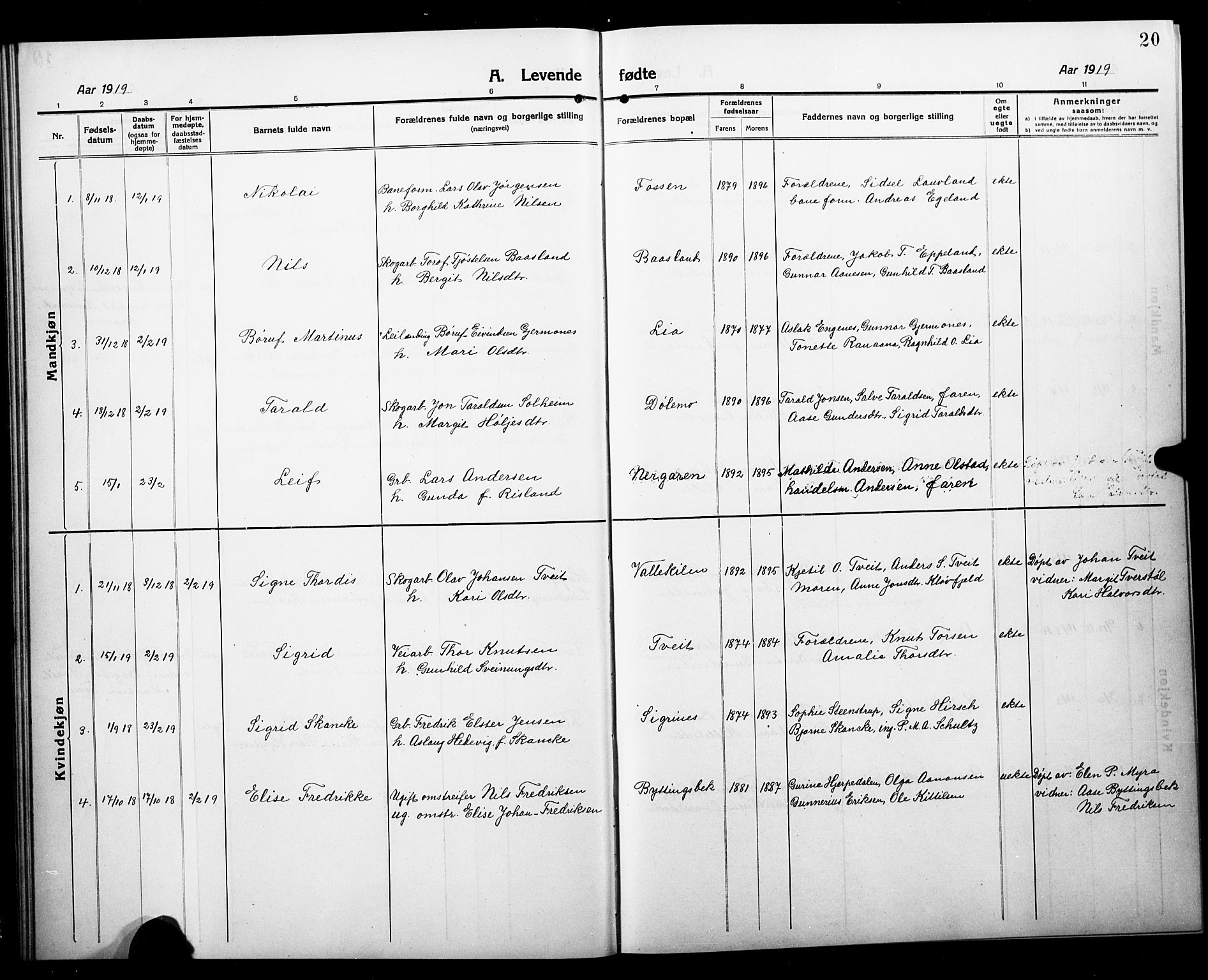 Åmli sokneprestkontor, AV/SAK-1111-0050/F/Fb/Fbc/L0006: Parish register (copy) no. B 6, 1915-1929, p. 20