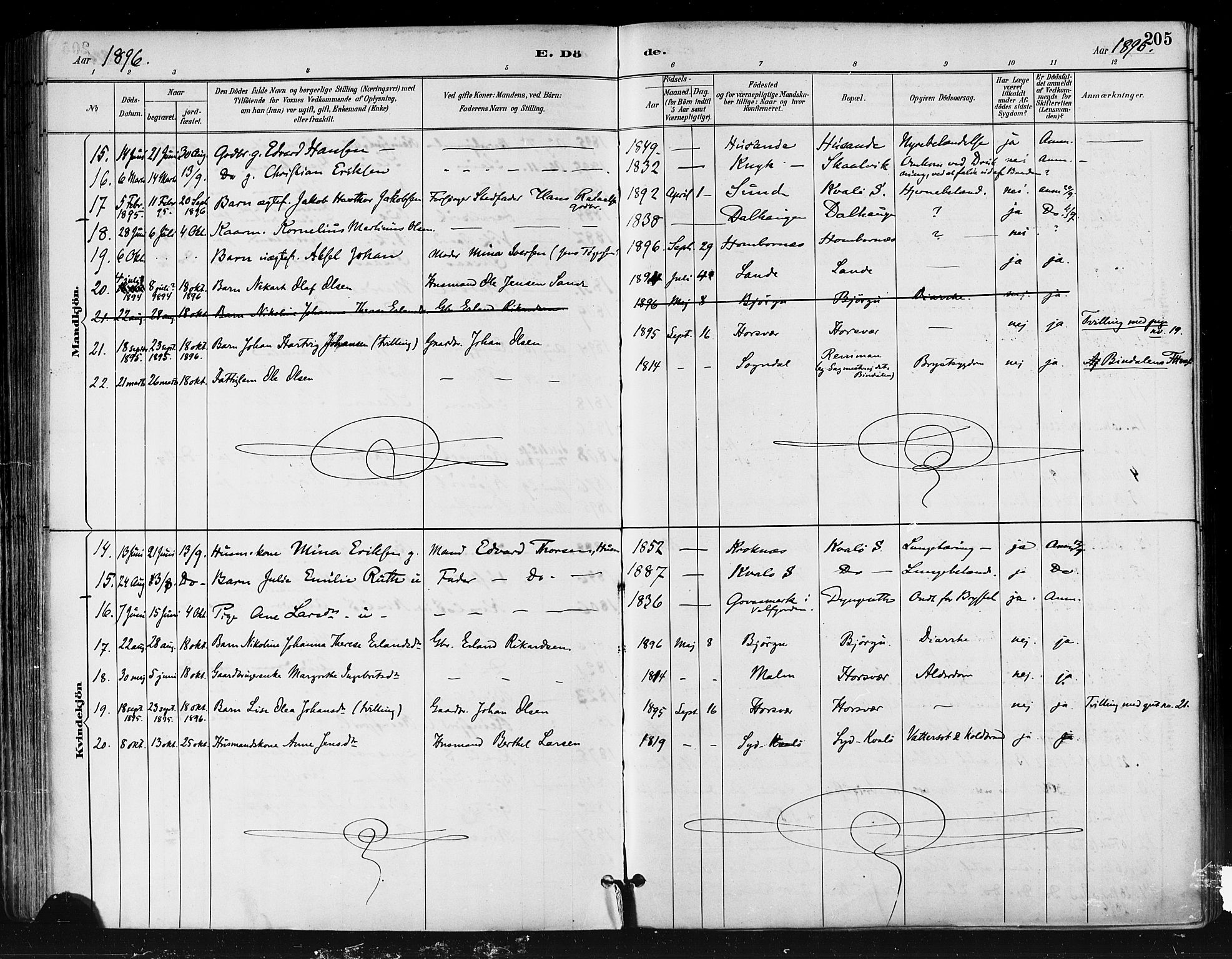 Ministerialprotokoller, klokkerbøker og fødselsregistre - Nordland, AV/SAT-A-1459/812/L0178: Parish register (official) no. 812A07, 1886-1900, p. 205