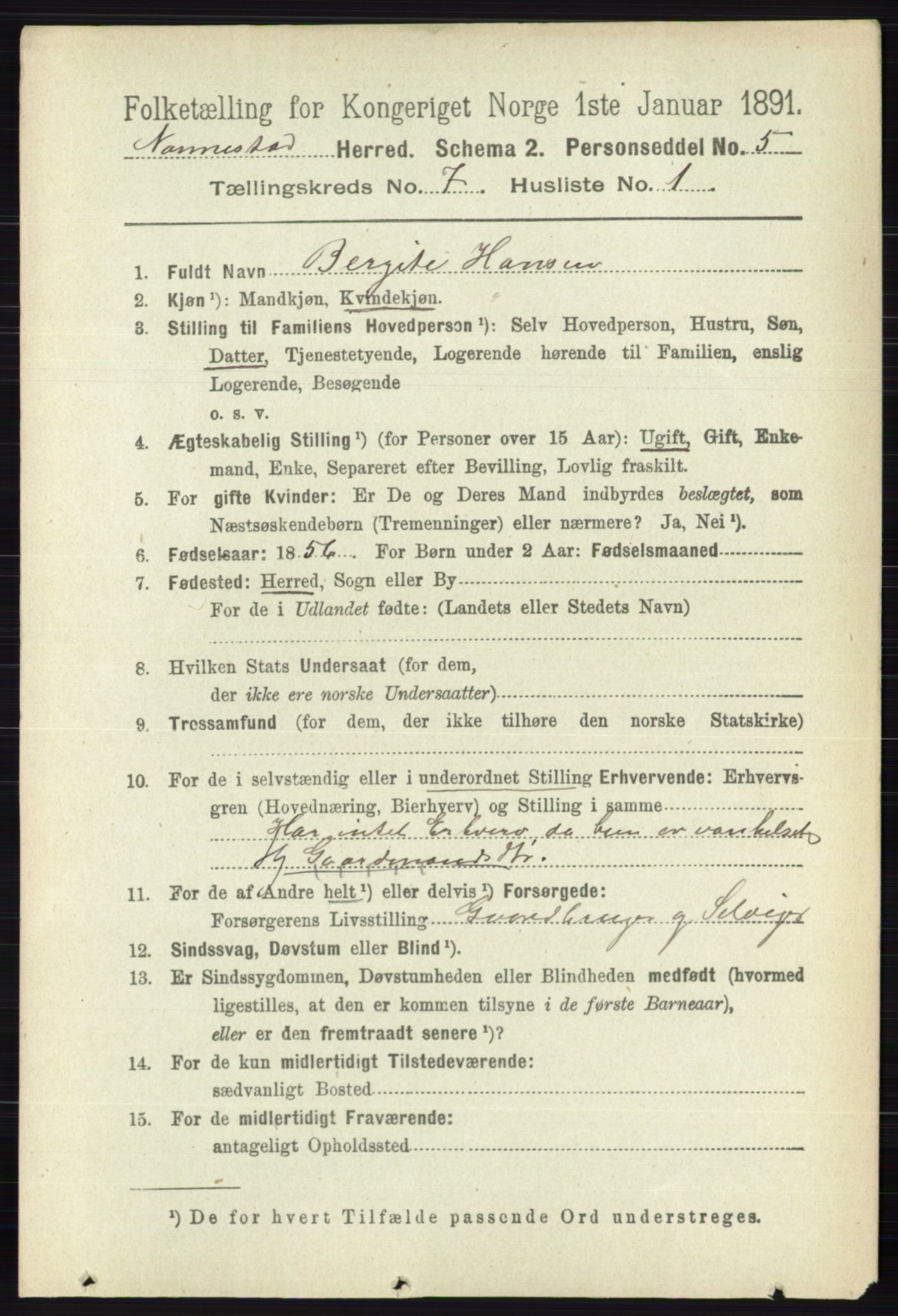 RA, 1891 census for 0238 Nannestad, 1891, p. 3745