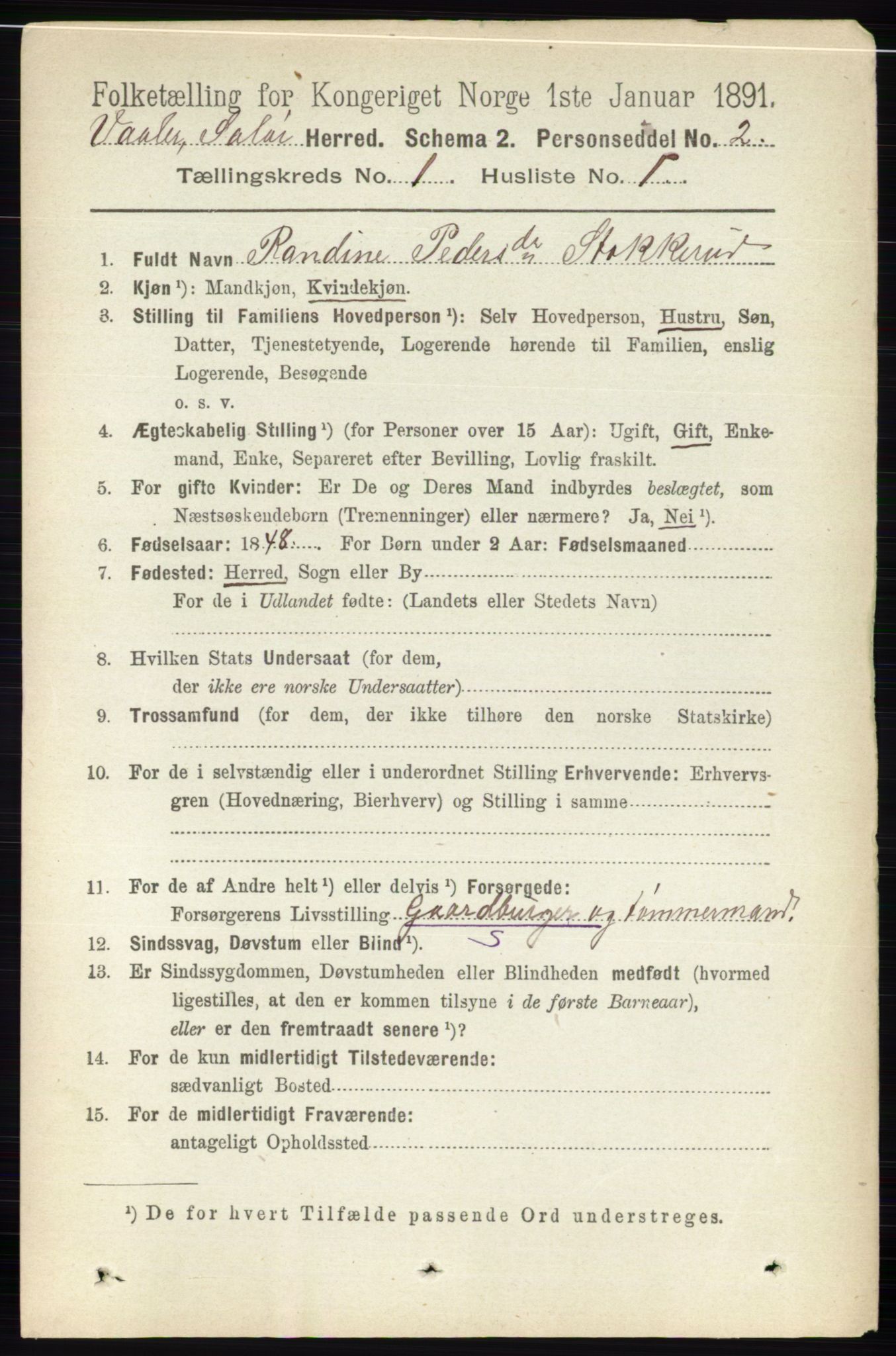 RA, 1891 census for 0426 Våler, 1891, p. 96