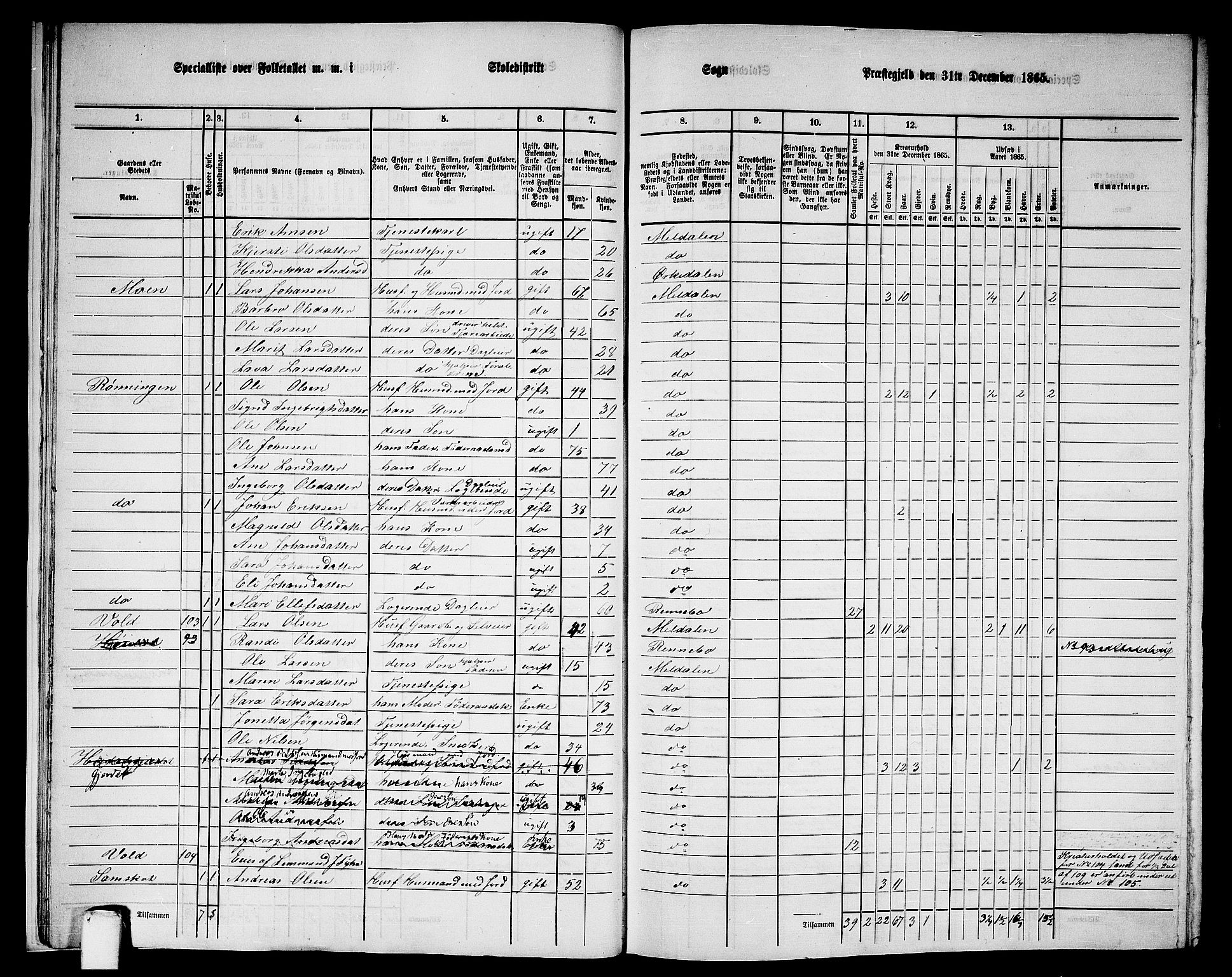 RA, 1865 census for Meldal, 1865, p. 16