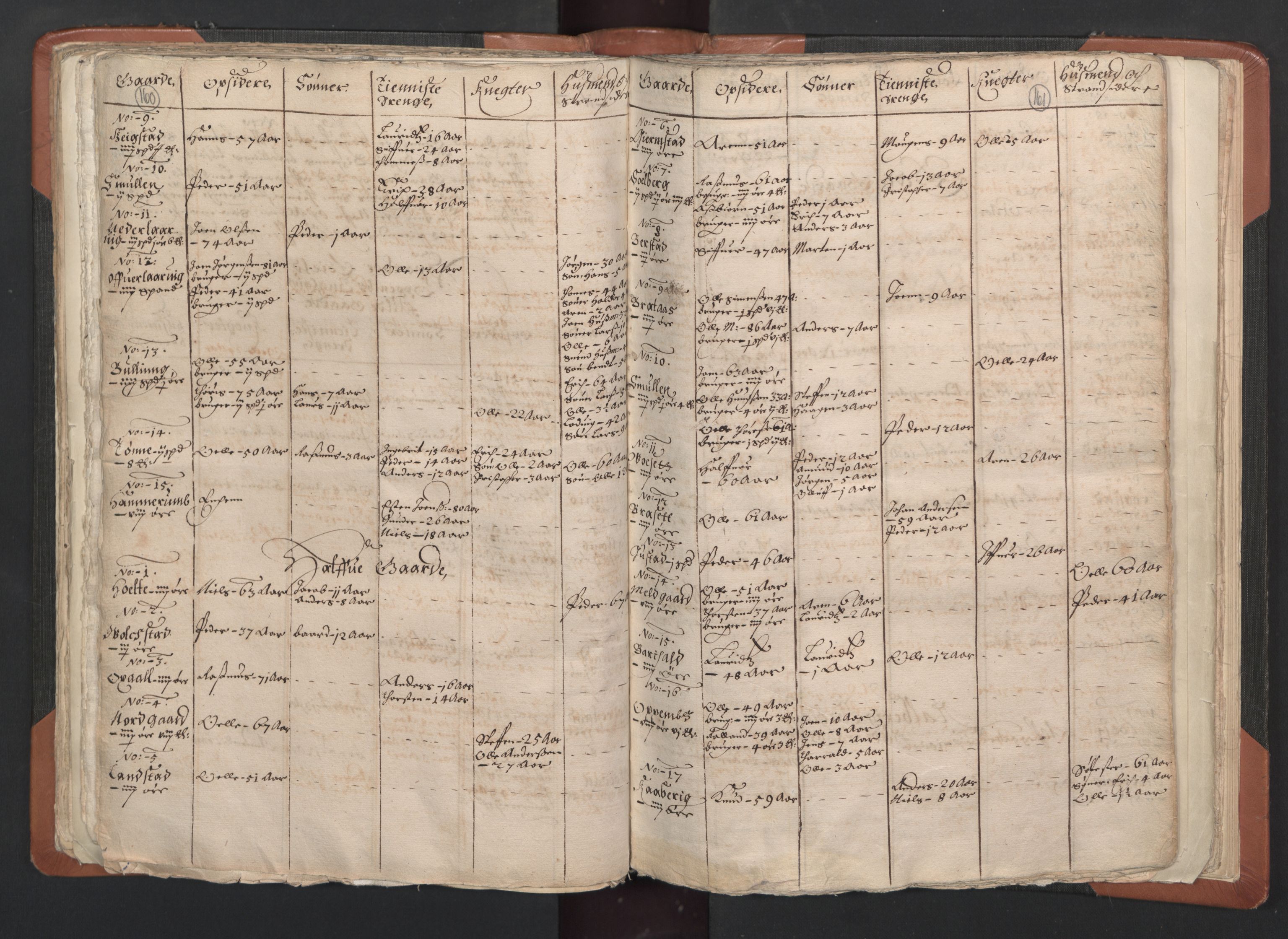 RA, Vicar's Census 1664-1666, no. 33: Innherad deanery, 1664-1666, p. 160-161