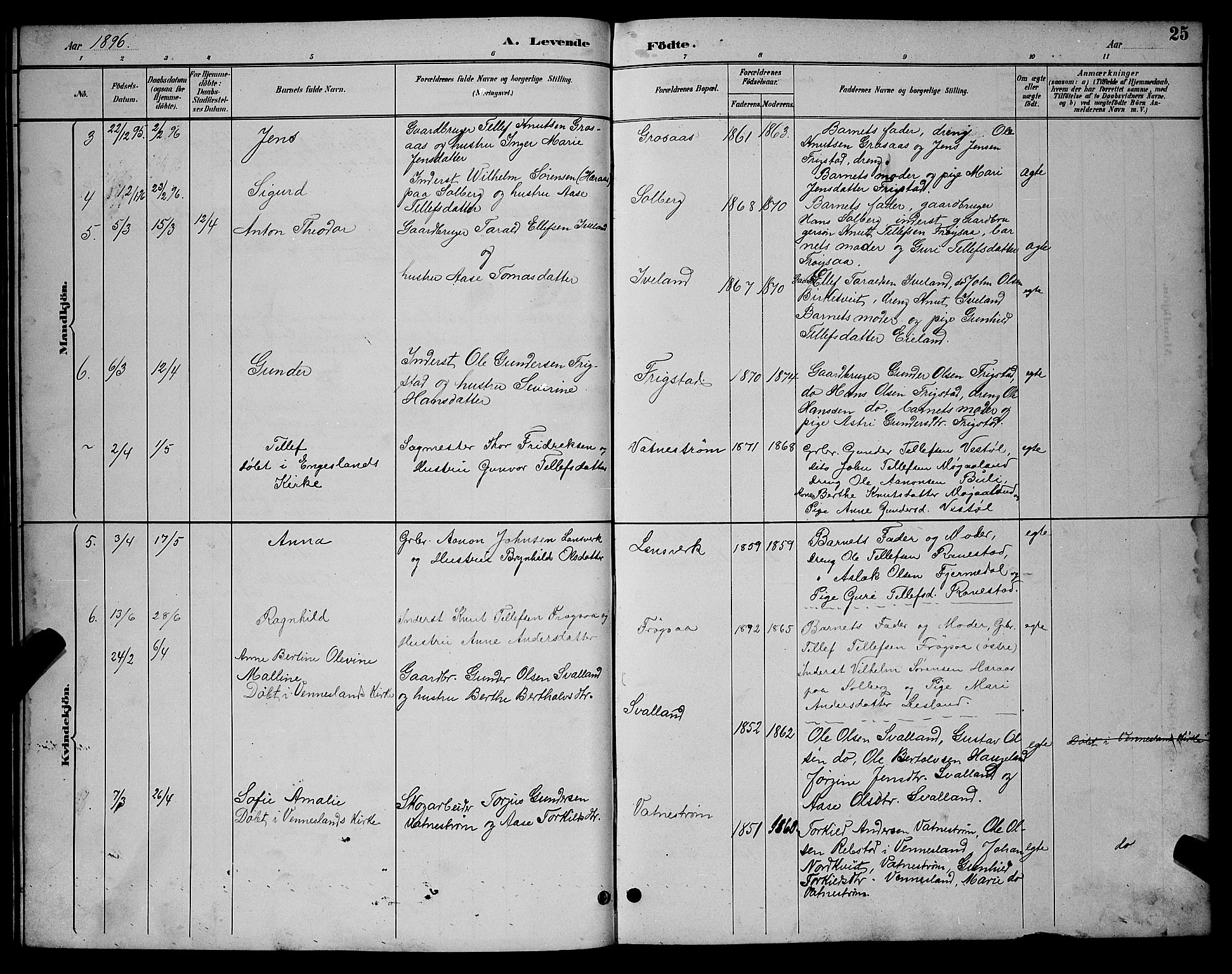 Evje sokneprestkontor, AV/SAK-1111-0008/F/Fb/Fbc/L0004: Parish register (copy) no. B 4, 1890-1900, p. 25