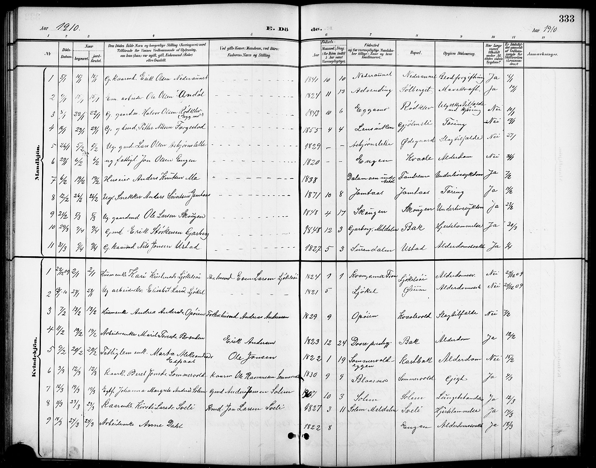 Ministerialprotokoller, klokkerbøker og fødselsregistre - Sør-Trøndelag, SAT/A-1456/668/L0819: Parish register (copy) no. 668C08, 1899-1912, p. 333