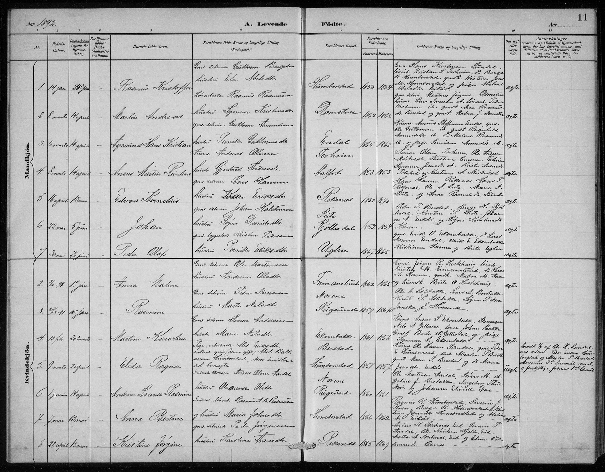 Davik sokneprestembete, AV/SAB-A-79701/H/Hab/Haba/L0002: Parish register (copy) no. A 2, 1890-1911, p. 11