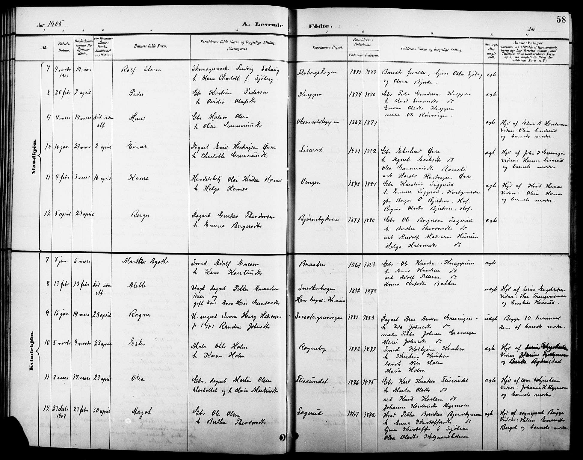 Åsnes prestekontor, AV/SAH-PREST-042/H/Ha/Hab/L0004: Parish register (copy) no. 4, 1895-1909, p. 58