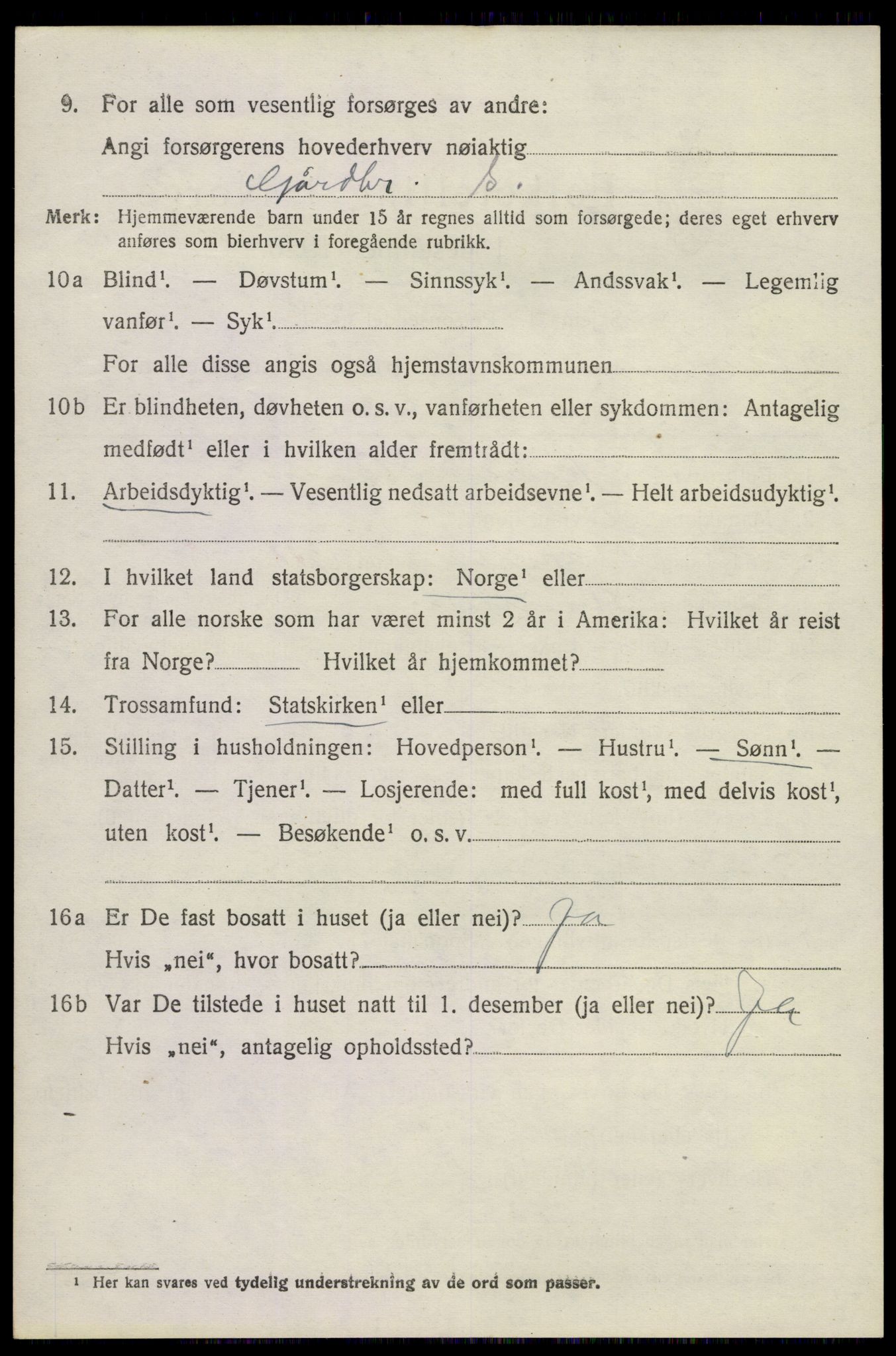 SAKO, 1920 census for Strømm, 1920, p. 1996