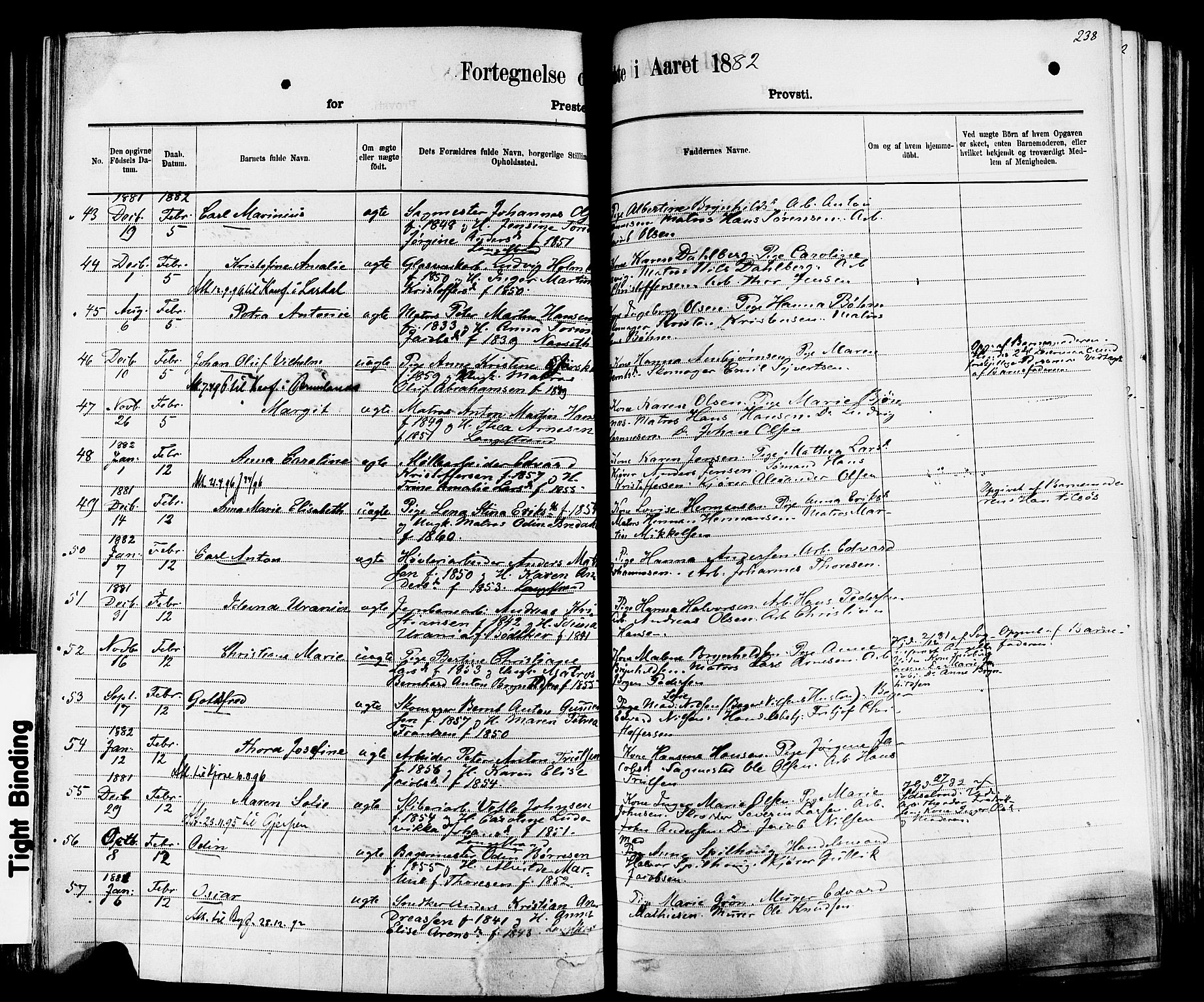 Larvik kirkebøker, AV/SAKO-A-352/F/Fa/L0006: Parish register (official) no. I 6, 1871-1883, p. 238