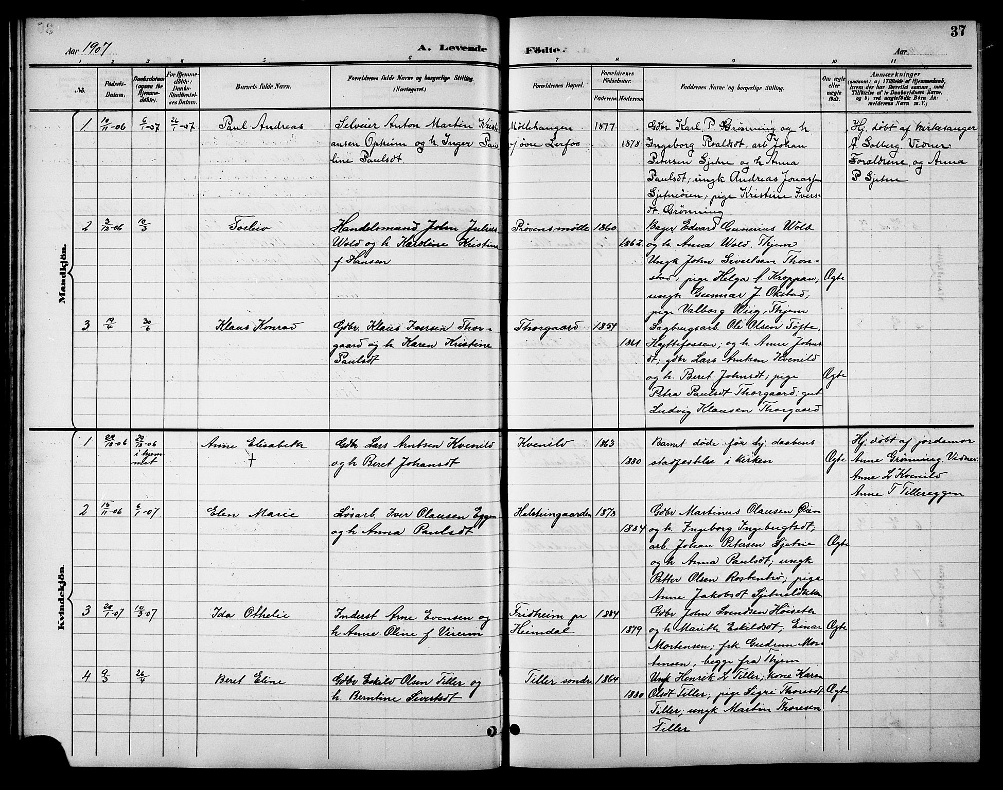 Ministerialprotokoller, klokkerbøker og fødselsregistre - Sør-Trøndelag, SAT/A-1456/621/L0460: Parish register (copy) no. 621C03, 1896-1914, p. 37