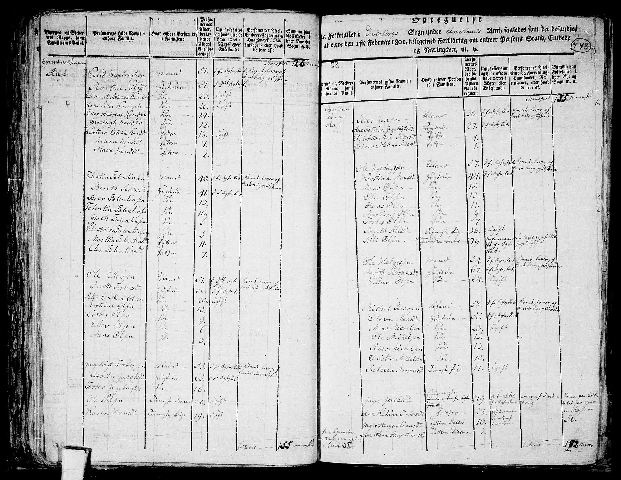 RA, 1801 census for 1872P Dverberg, 1801, p. 742b-743a