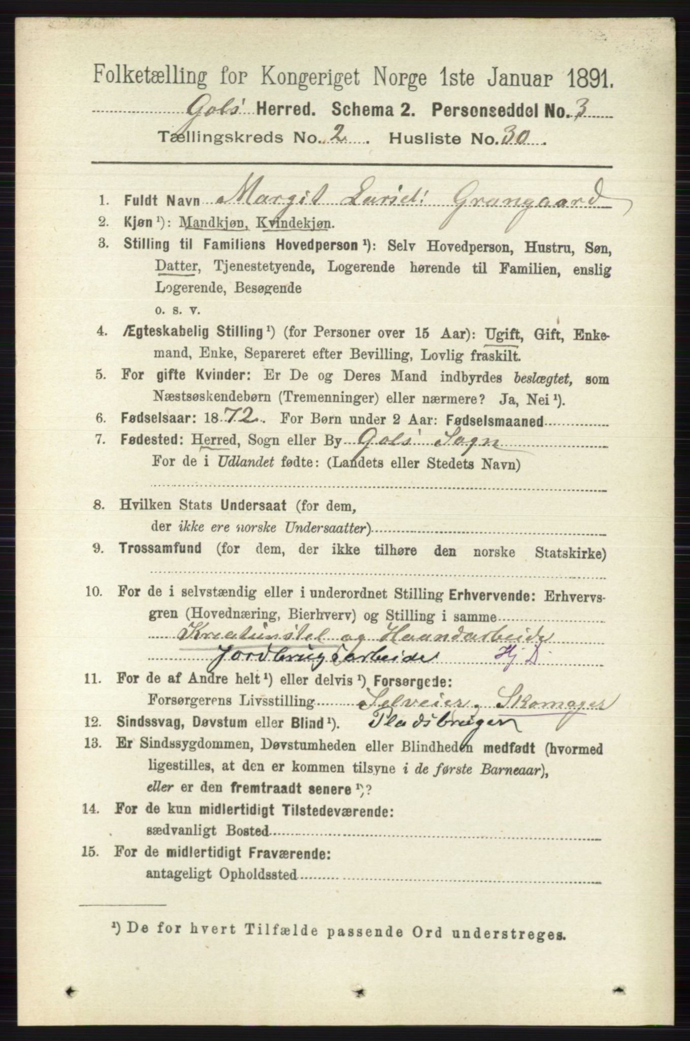 RA, 1891 census for 0617 Gol og Hemsedal, 1891, p. 876