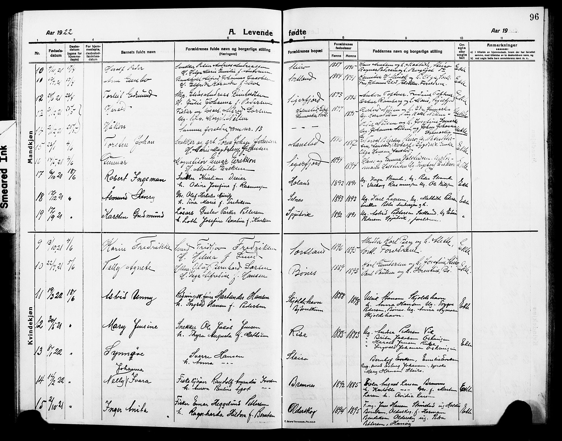 Ministerialprotokoller, klokkerbøker og fødselsregistre - Nordland, SAT/A-1459/895/L1383: Parish register (copy) no. 895C05, 1913-1922, p. 96