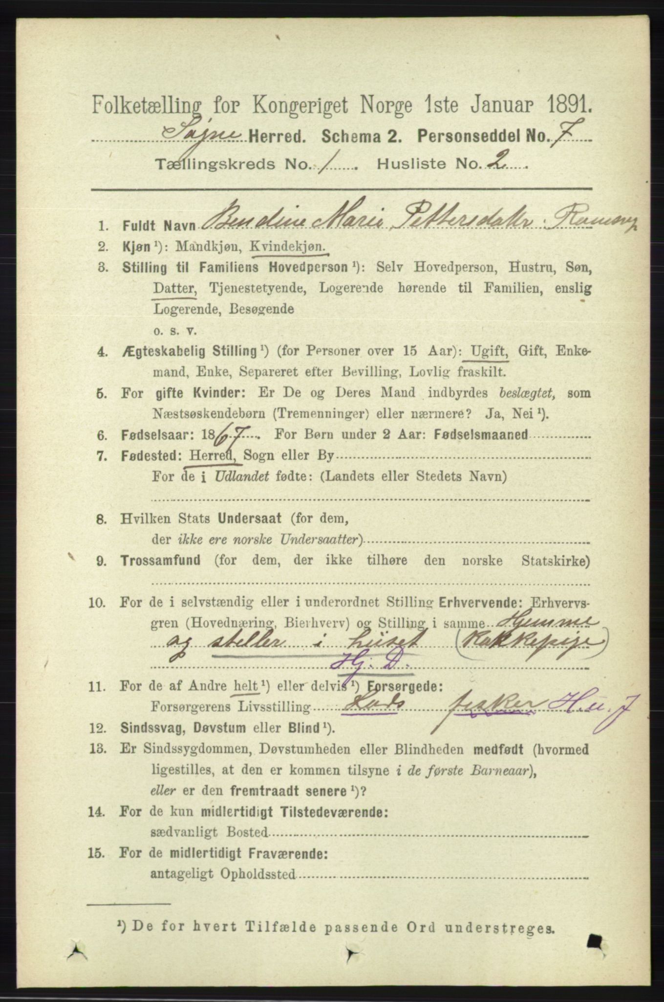 RA, 1891 census for 1018 Søgne, 1891, p. 75