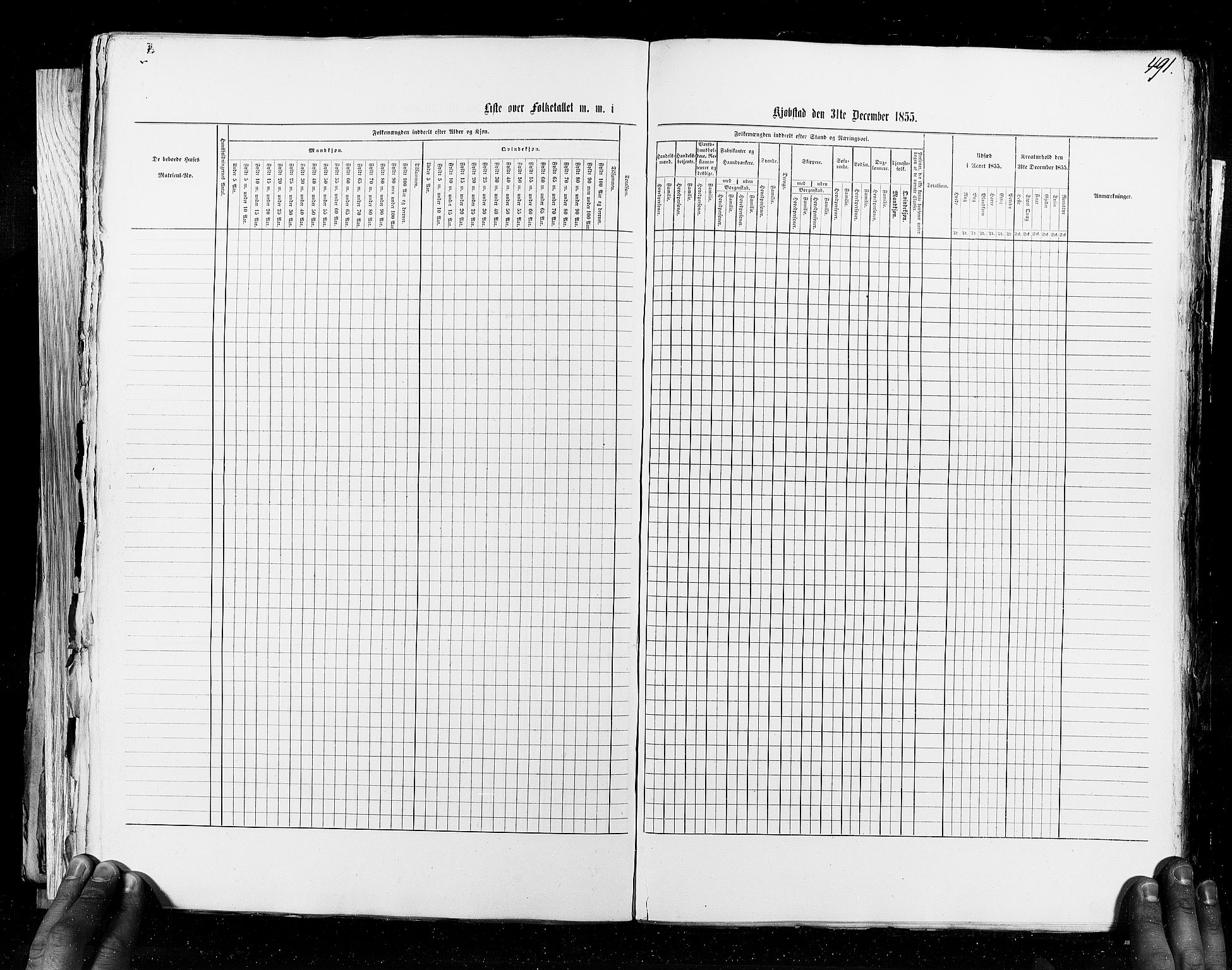 RA, Census 1855, vol. 8: Risør-Vadsø, 1855, p. 491