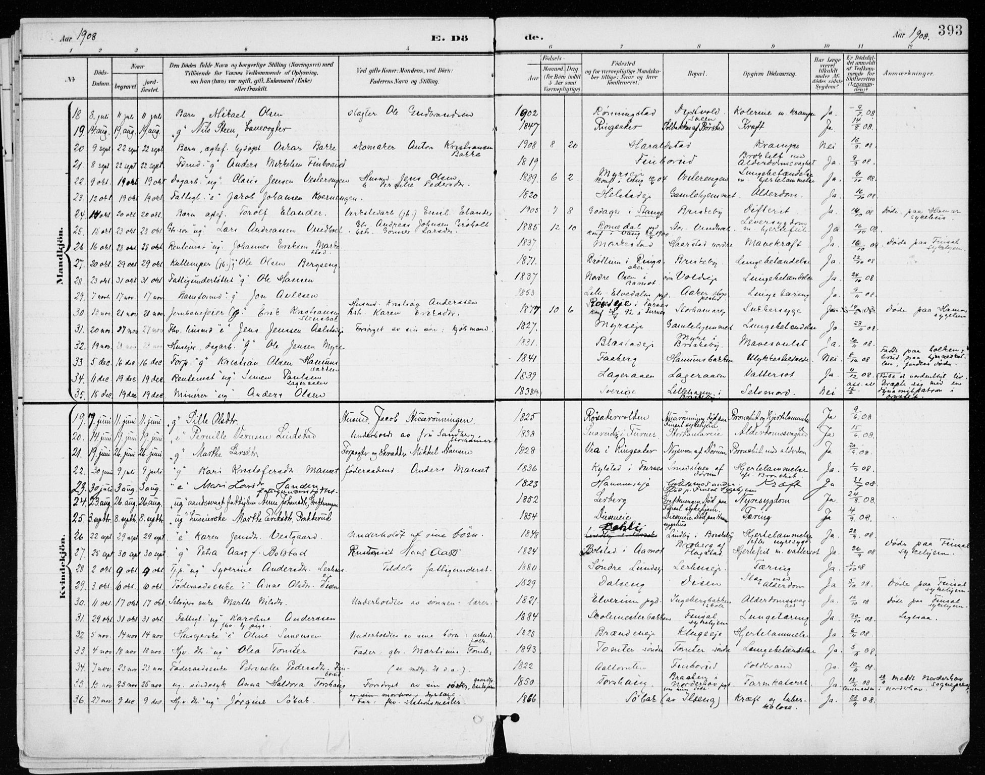 Vang prestekontor, Hedmark, AV/SAH-PREST-008/H/Ha/Haa/L0021: Parish register (official) no. 21, 1902-1917, p. 393