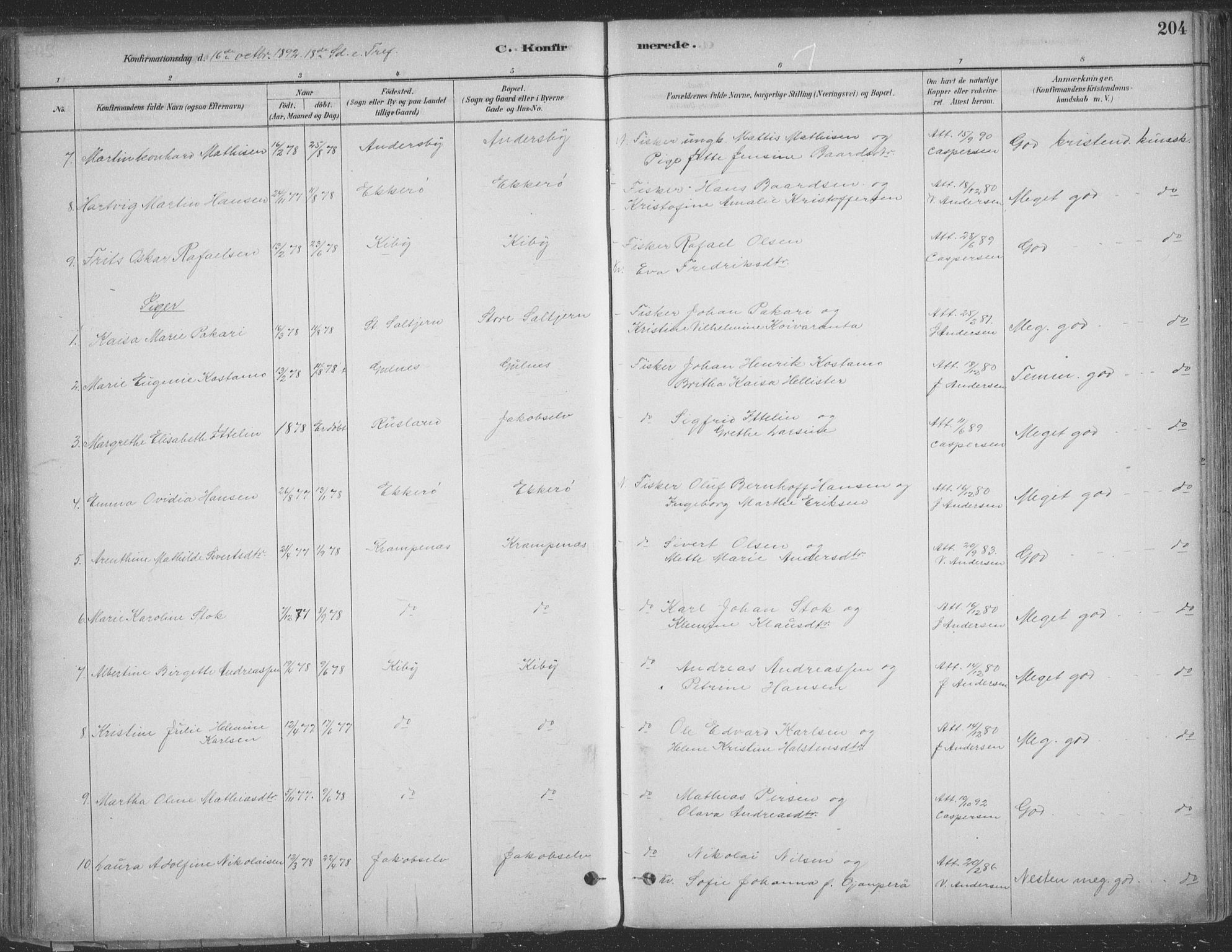 Vadsø sokneprestkontor, SATØ/S-1325/H/Ha/L0009kirke: Parish register (official) no. 9, 1881-1917, p. 204