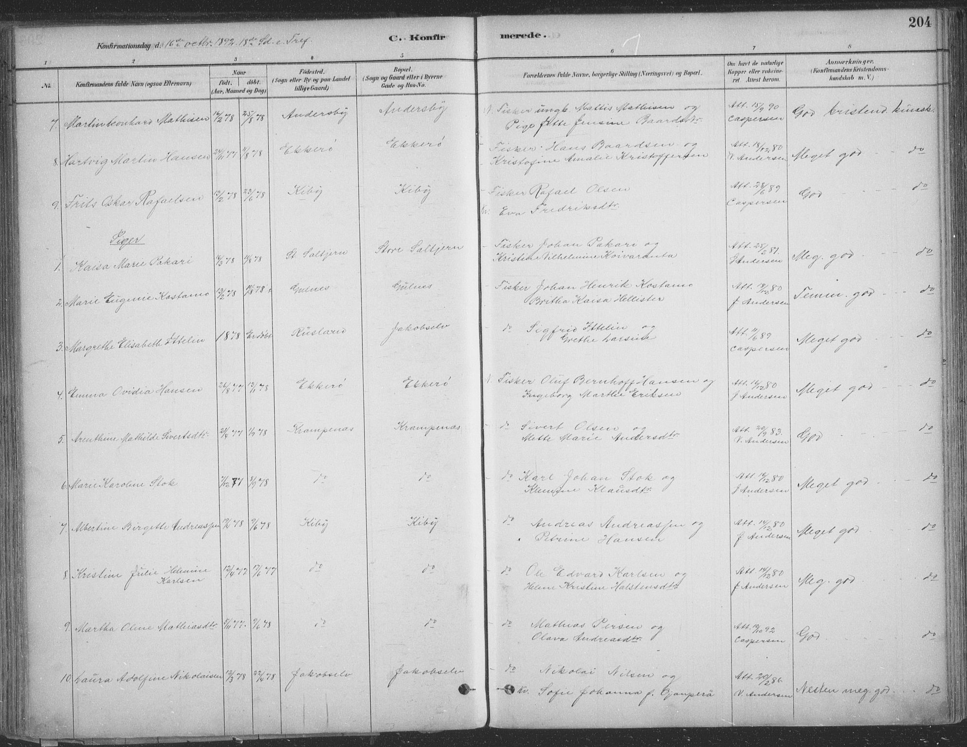 Vadsø sokneprestkontor, AV/SATØ-S-1325/H/Ha/L0009kirke: Parish register (official) no. 9, 1881-1917, p. 204