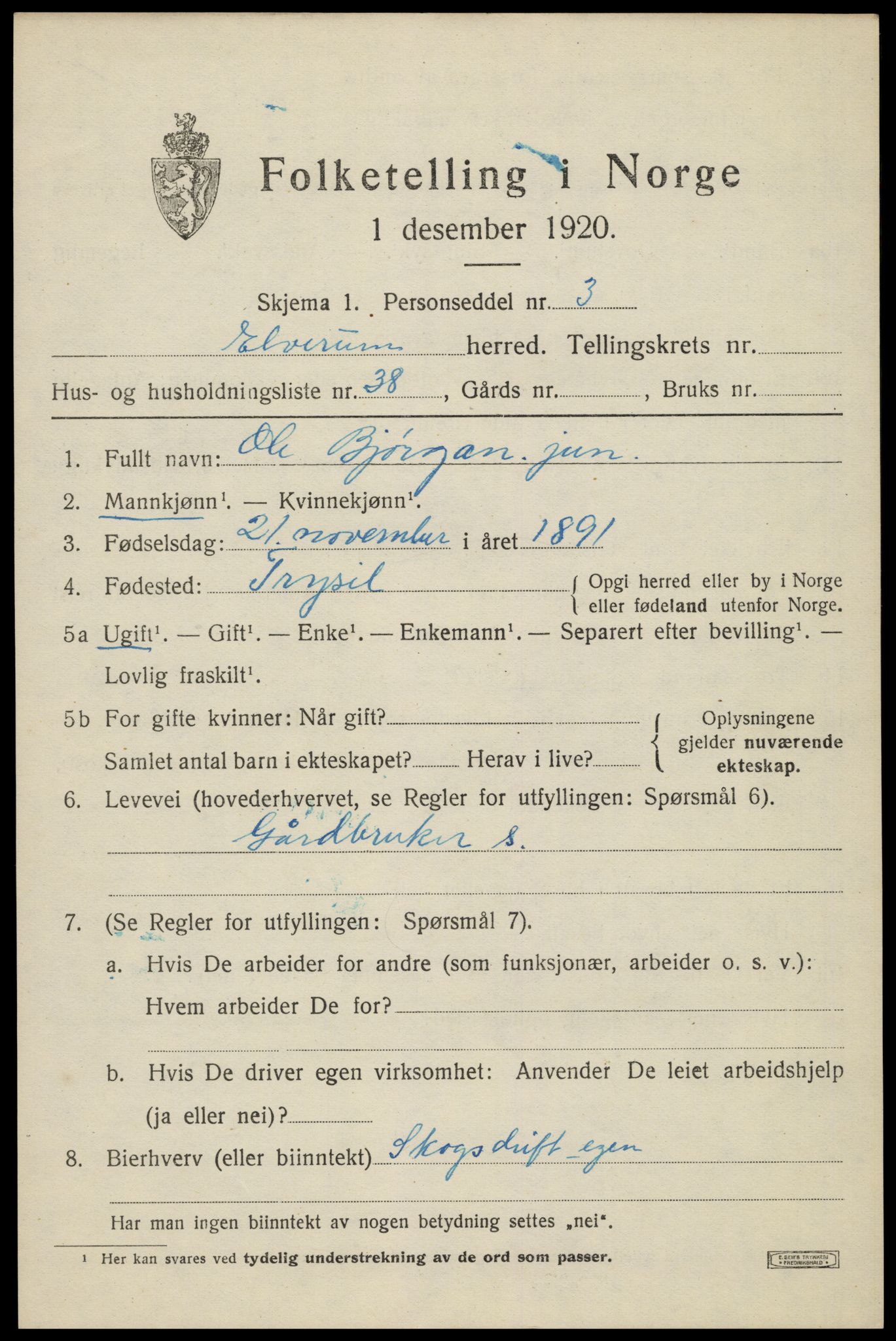 SAH, 1920 census for Elverum, 1920, p. 21214