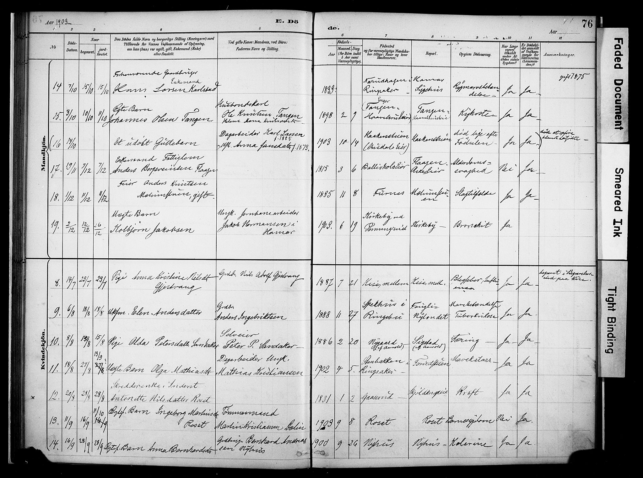 Nes prestekontor, Hedmark, AV/SAH-PREST-020/K/Ka/L0011: Parish register (official) no. 11, 1887-1905, p. 76