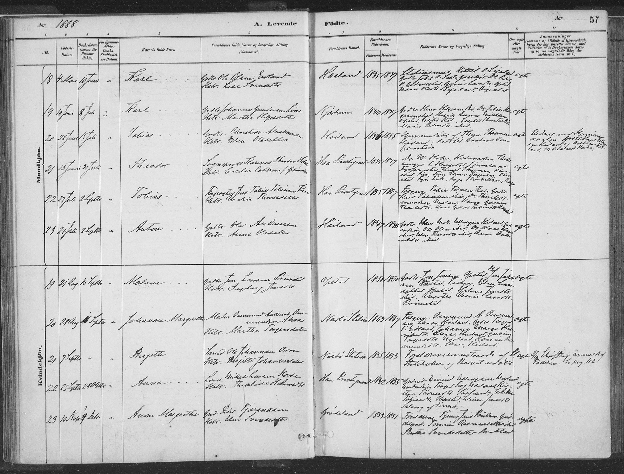 Hå sokneprestkontor, SAST/A-101801/001/30BA/L0010: Parish register (official) no. A 9, 1879-1896, p. 57