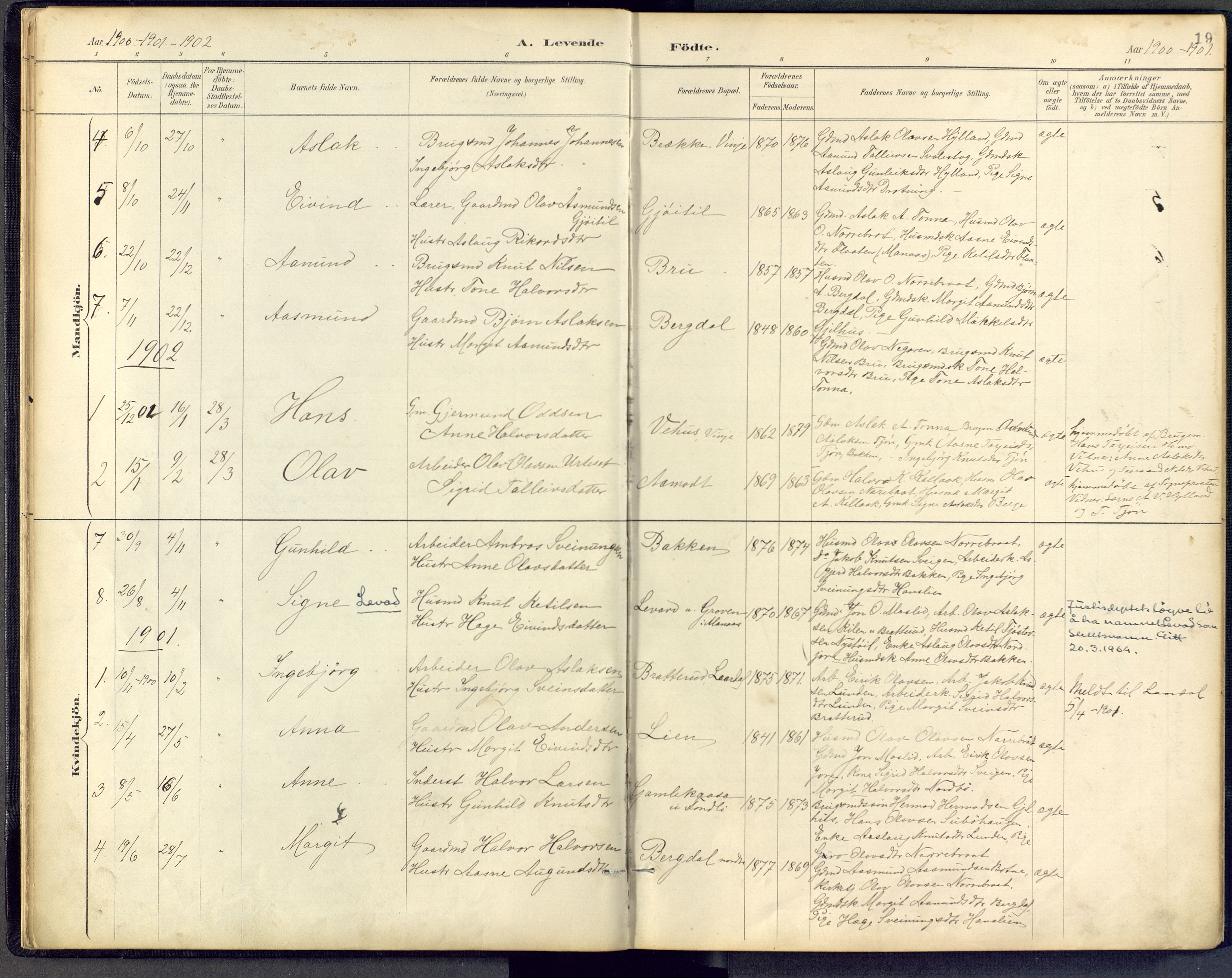 Vinje kirkebøker, SAKO/A-312/F/Fb/L0002: Parish register (official) no. II 2, 1887-1925, p. 19