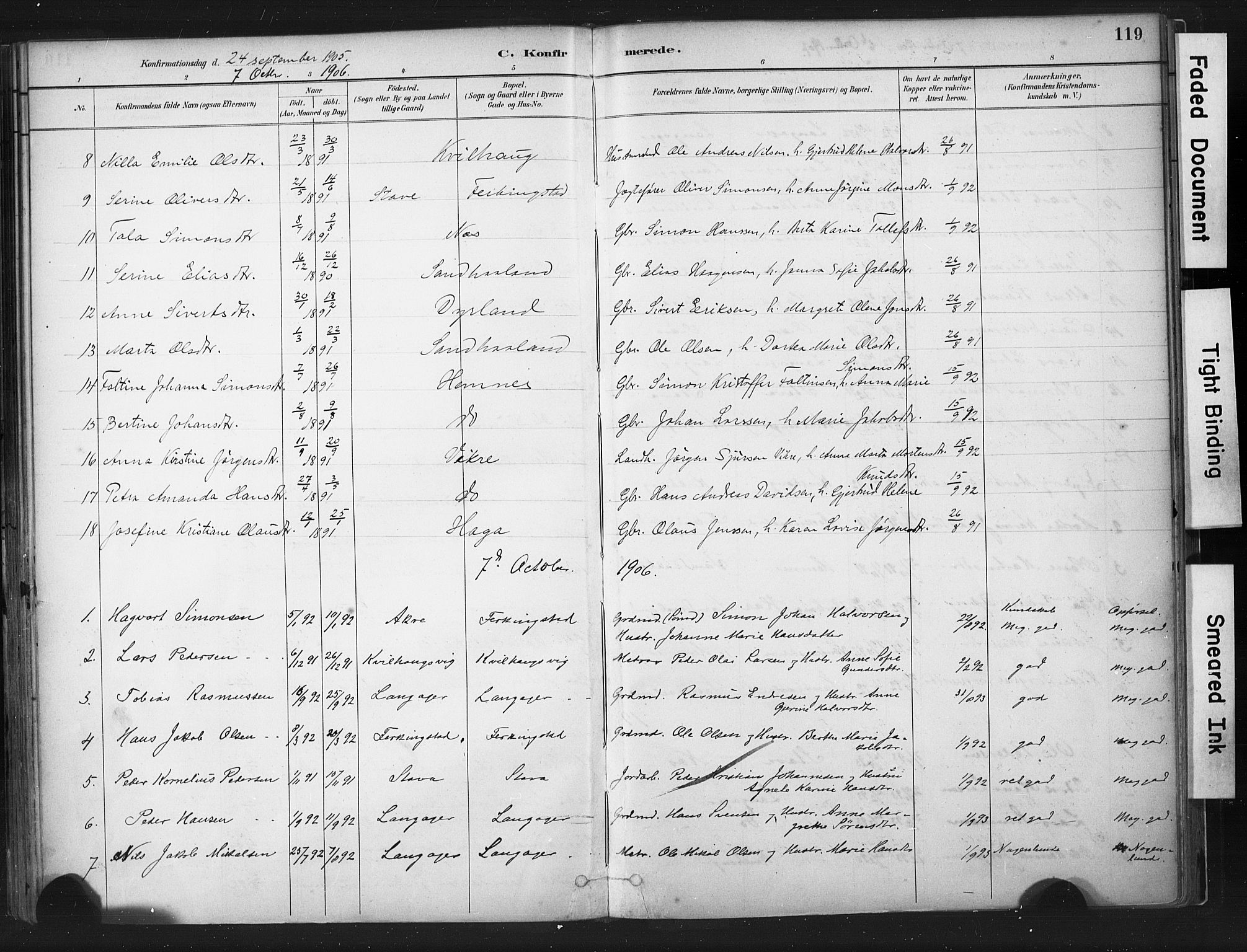 Skudenes sokneprestkontor, SAST/A -101849/H/Ha/Haa/L0010: Parish register (official) no. A 7, 1882-1912, p. 119
