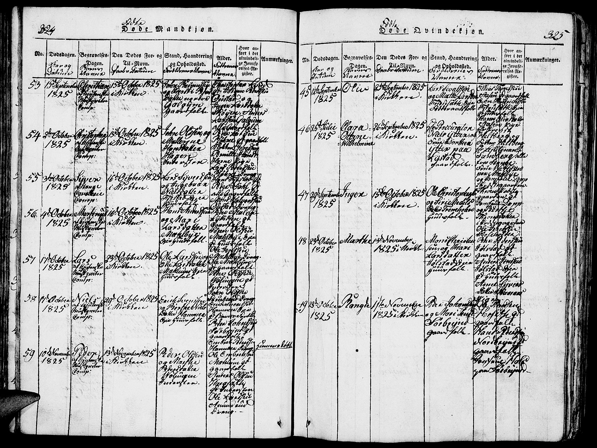 Romedal prestekontor, AV/SAH-PREST-004/L/L0005: Parish register (copy) no. 5, 1814-1829, p. 324-325