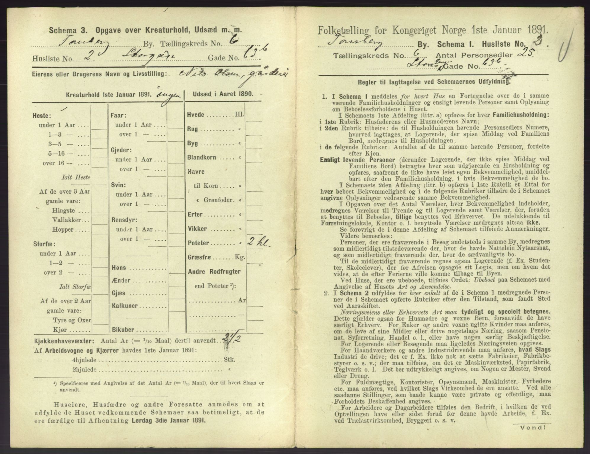 RA, 1891 census for 0705 Tønsberg, 1891, p. 246