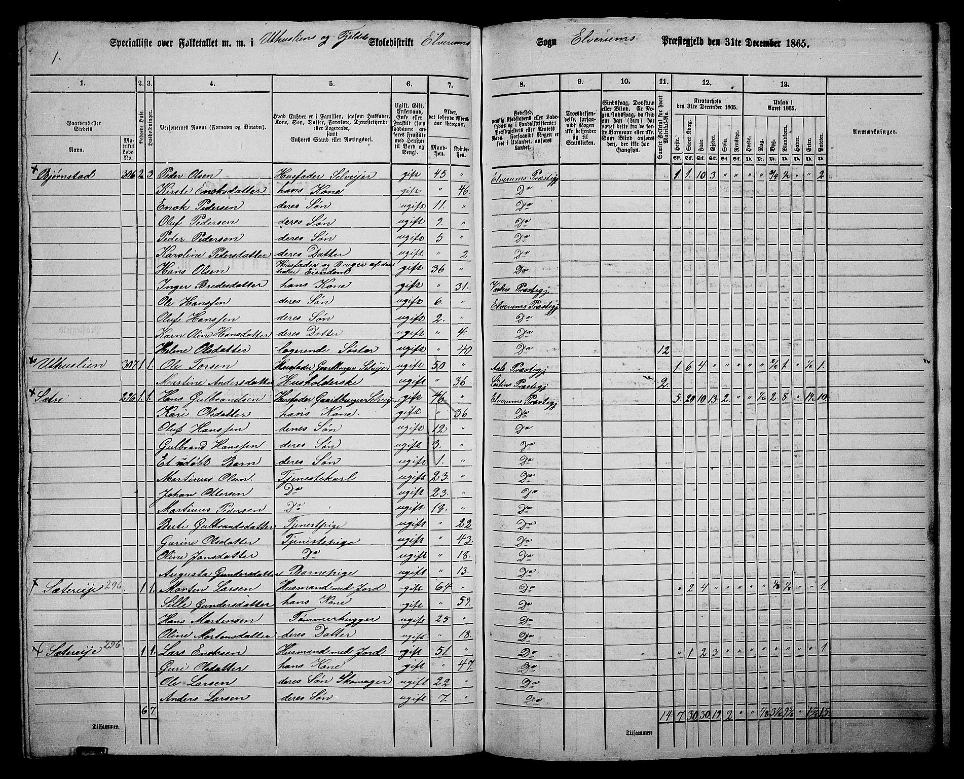 RA, 1865 census for Elverum, 1865, p. 249