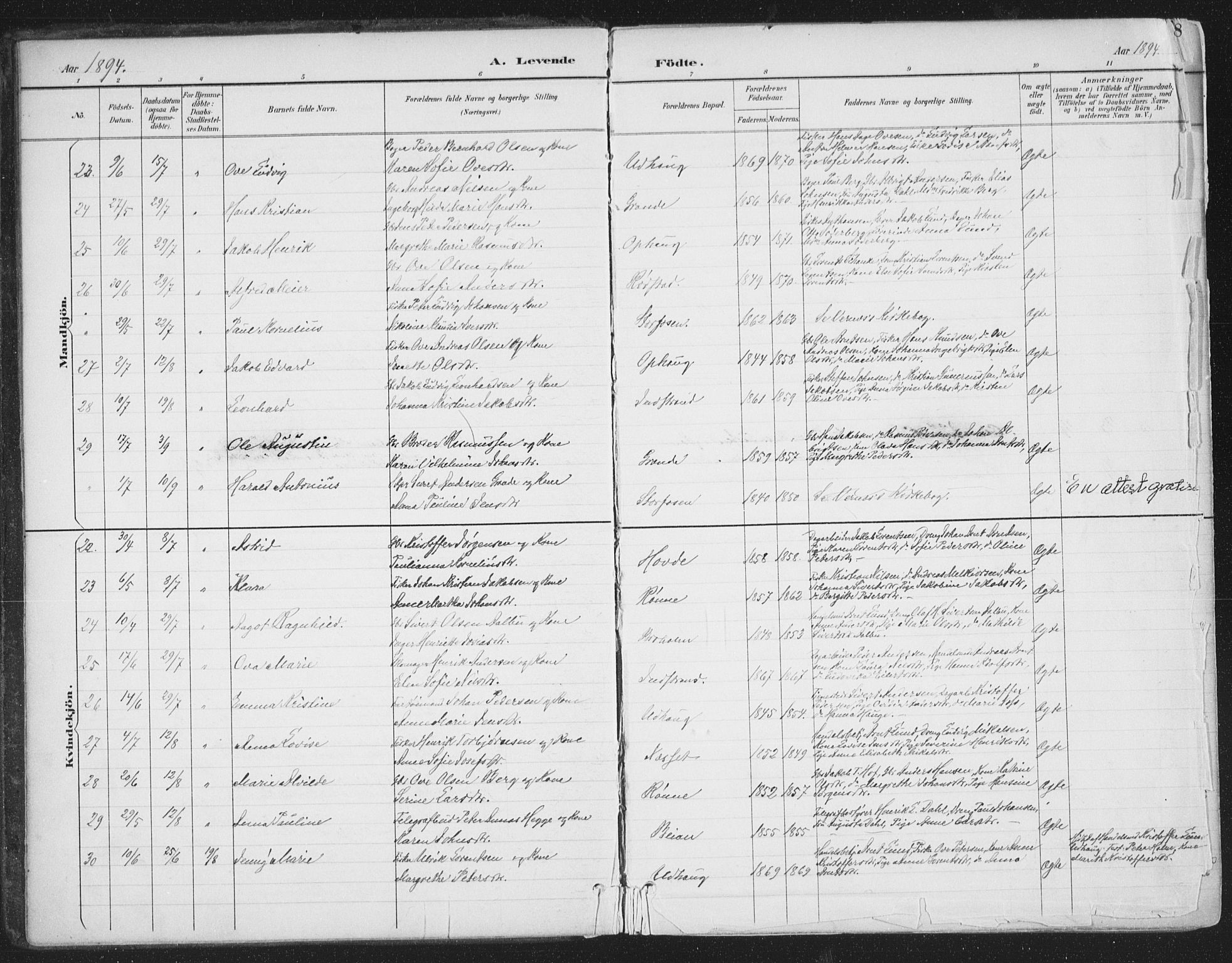 Ministerialprotokoller, klokkerbøker og fødselsregistre - Sør-Trøndelag, AV/SAT-A-1456/659/L0743: Parish register (official) no. 659A13, 1893-1910, p. 8