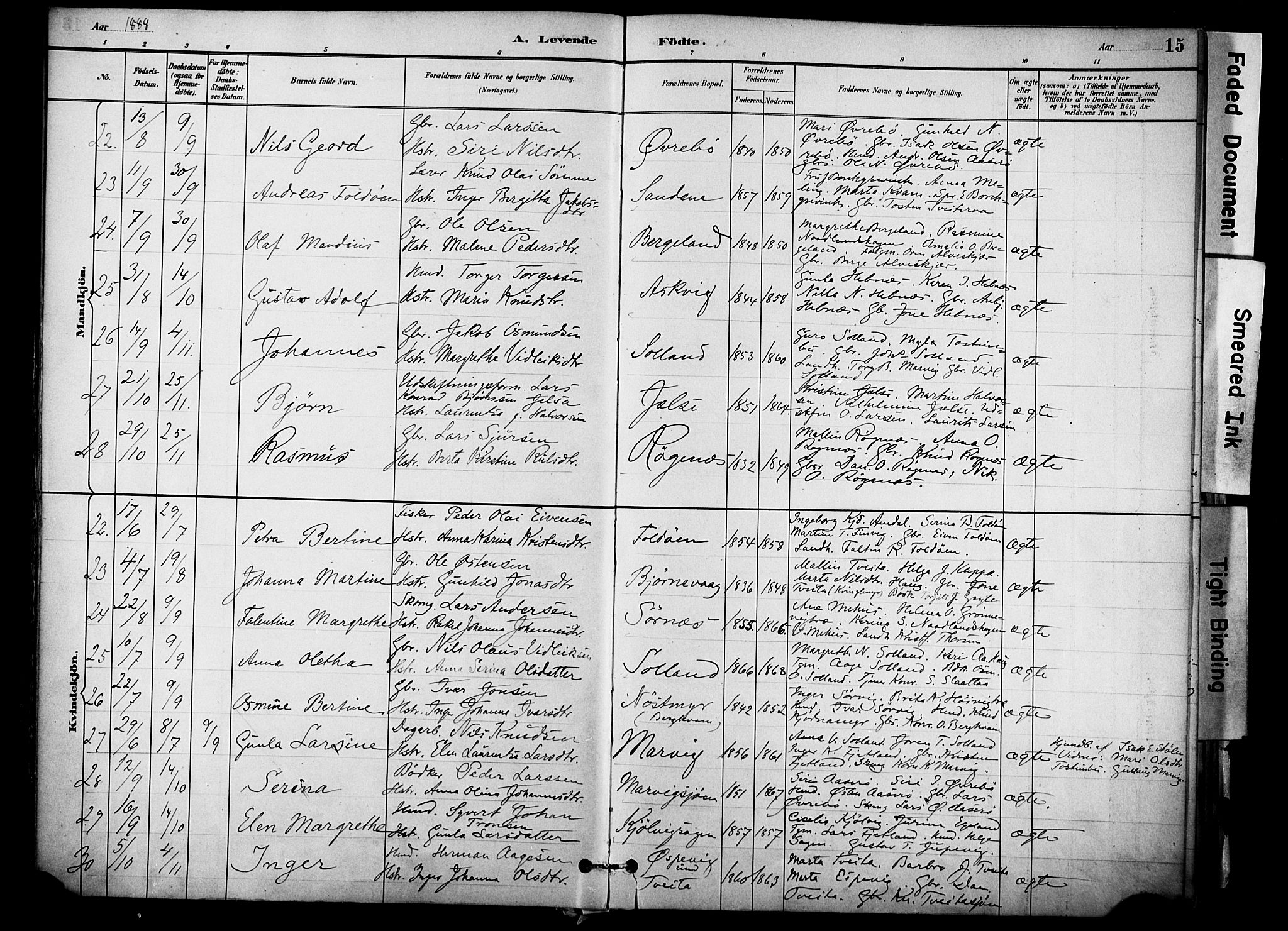 Jelsa sokneprestkontor, AV/SAST-A-101842/01/IV: Parish register (official) no. A 10, 1884-1906, p. 15