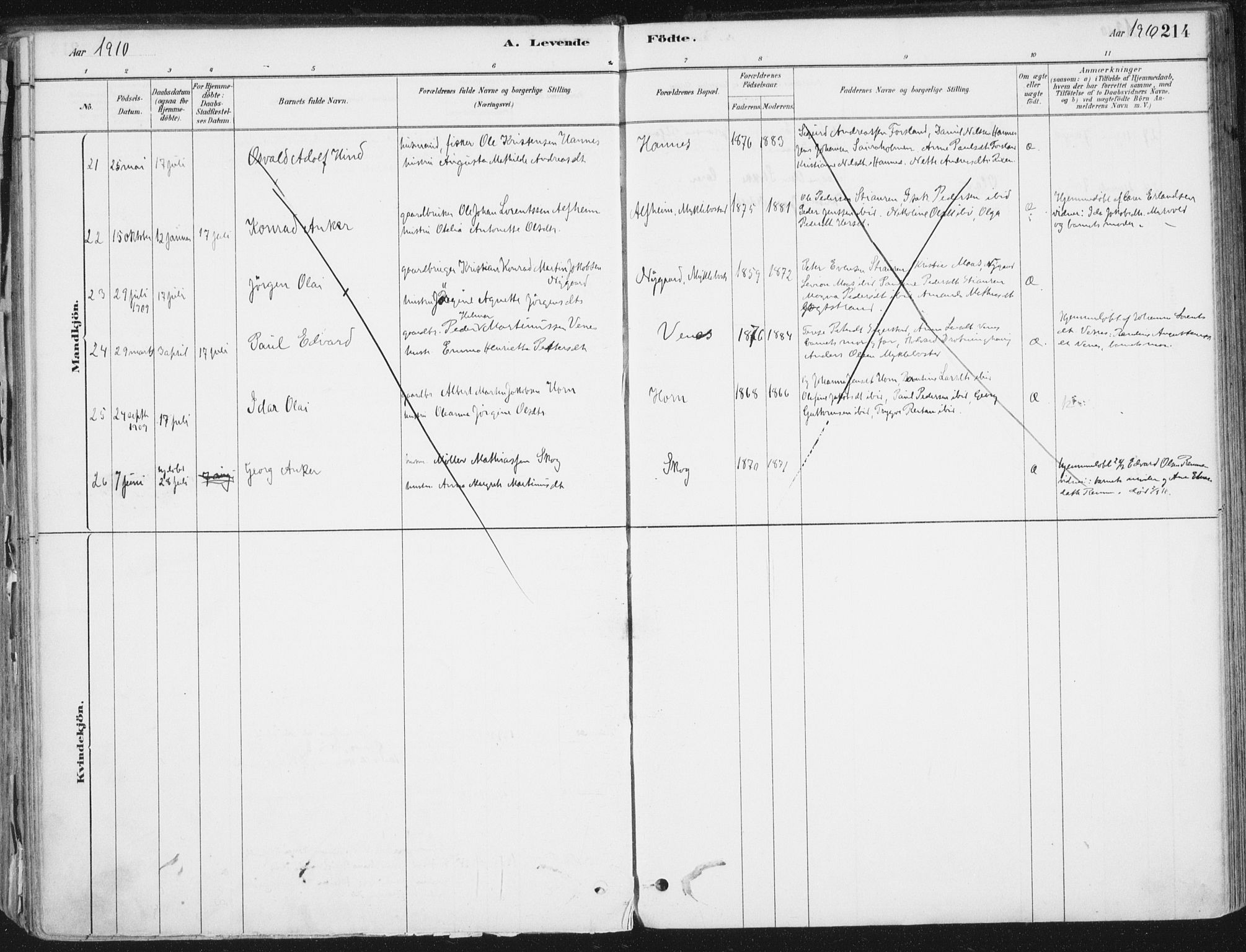 Ministerialprotokoller, klokkerbøker og fødselsregistre - Nordland, AV/SAT-A-1459/838/L0552: Parish register (official) no. 838A10, 1880-1910, p. 214