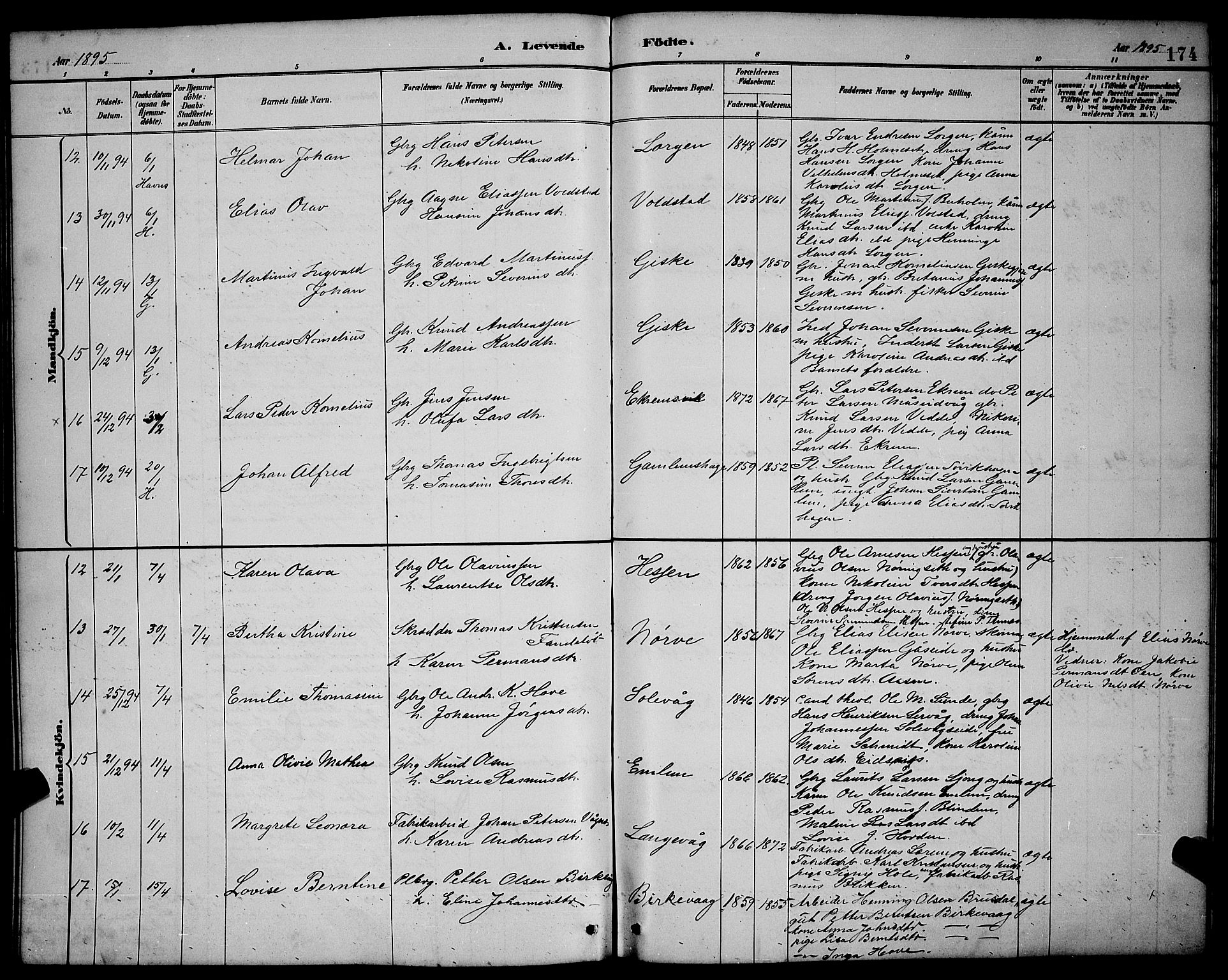 Ministerialprotokoller, klokkerbøker og fødselsregistre - Møre og Romsdal, AV/SAT-A-1454/528/L0431: Parish register (copy) no. 528C12, 1885-1898, p. 174