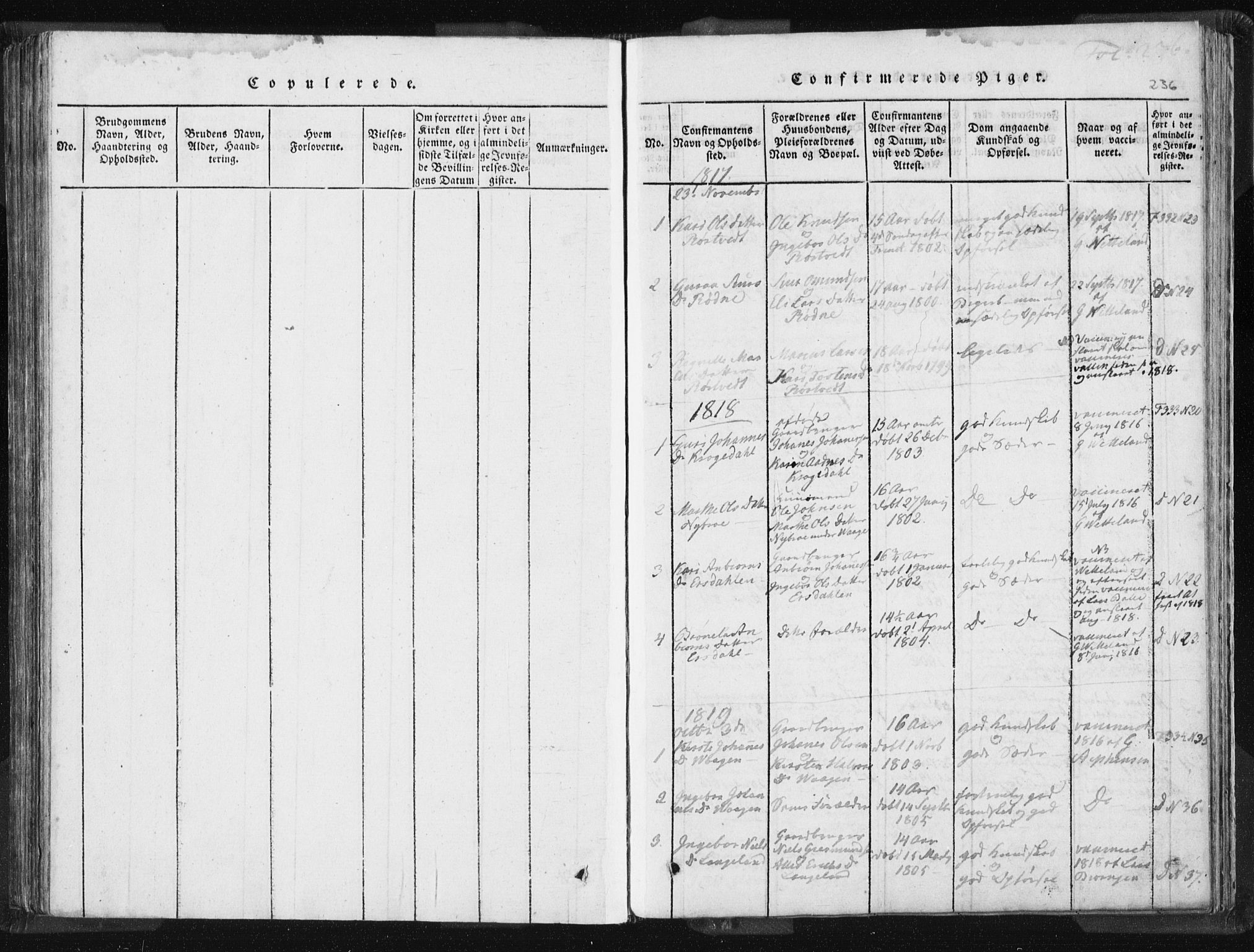Vikedal sokneprestkontor, SAST/A-101840/01/IV: Parish register (official) no. A 5, 1817-1850, p. 236