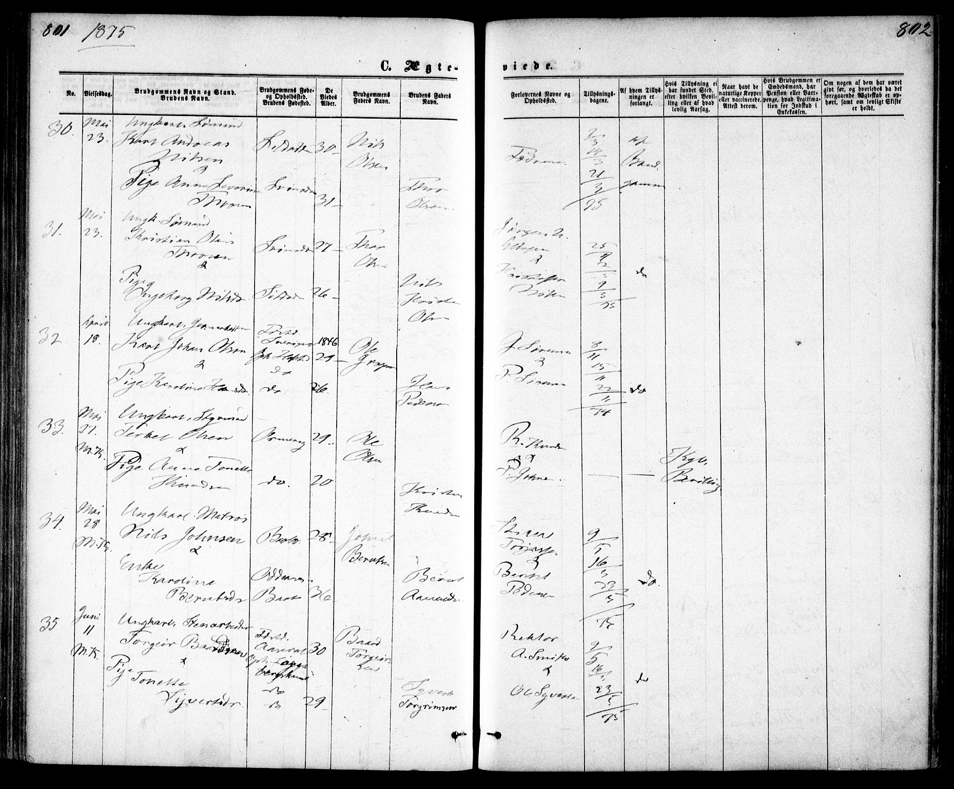 Tromøy sokneprestkontor, AV/SAK-1111-0041/F/Fa/L0008: Parish register (official) no. A 8, 1870-1877, p. 801-802