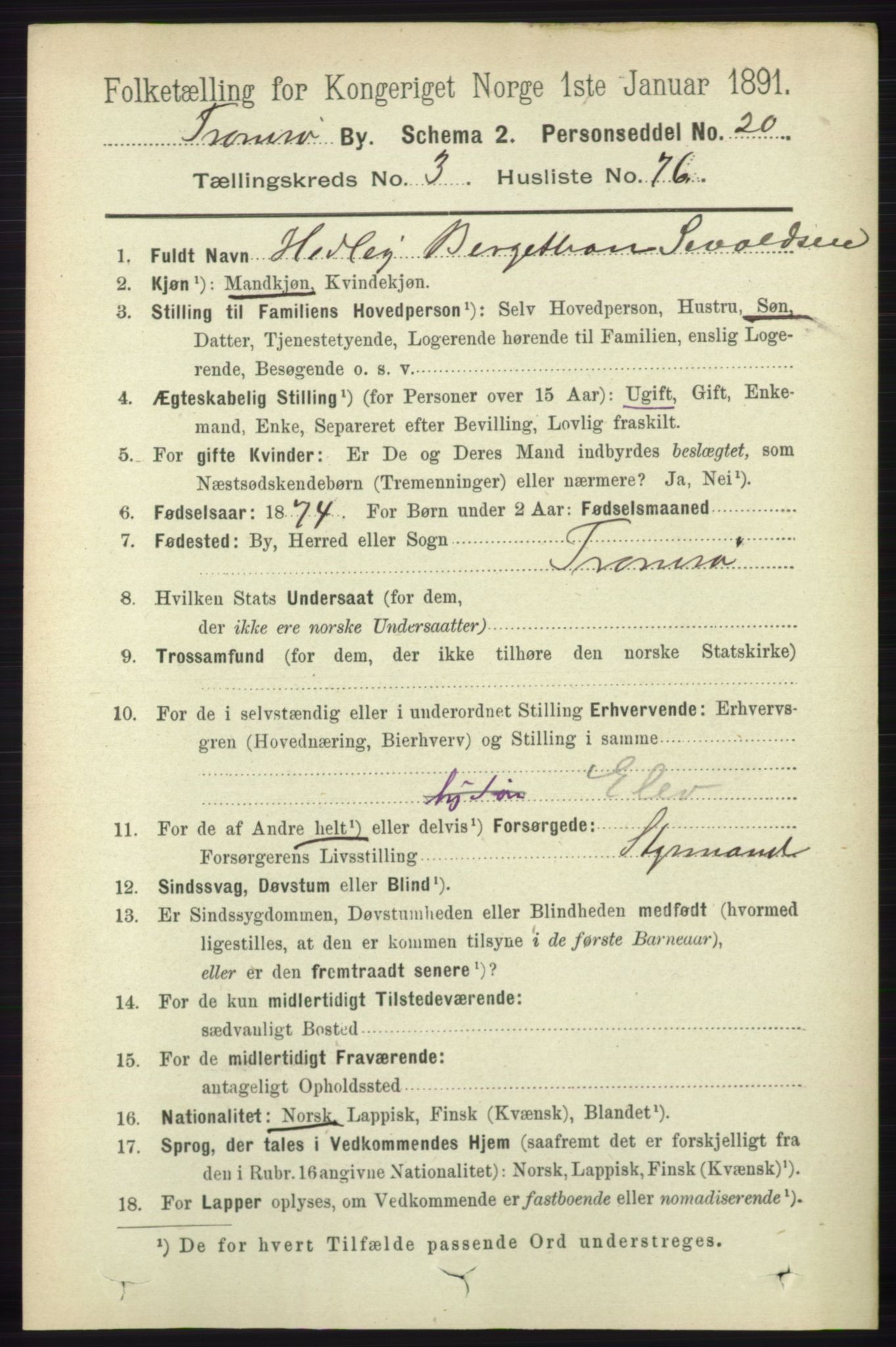 RA, 1891 census for 1902 Tromsø, 1891, p. 3982