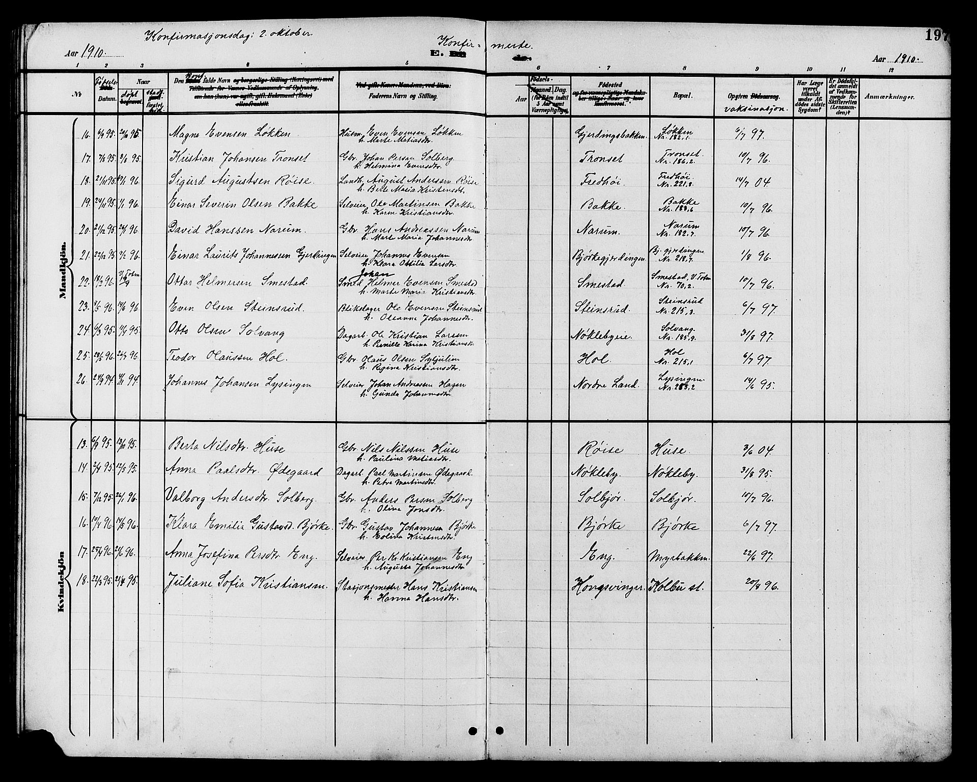 Vestre Toten prestekontor, AV/SAH-PREST-108/H/Ha/Hab/L0011: Parish register (copy) no. 11, 1901-1911, p. 197