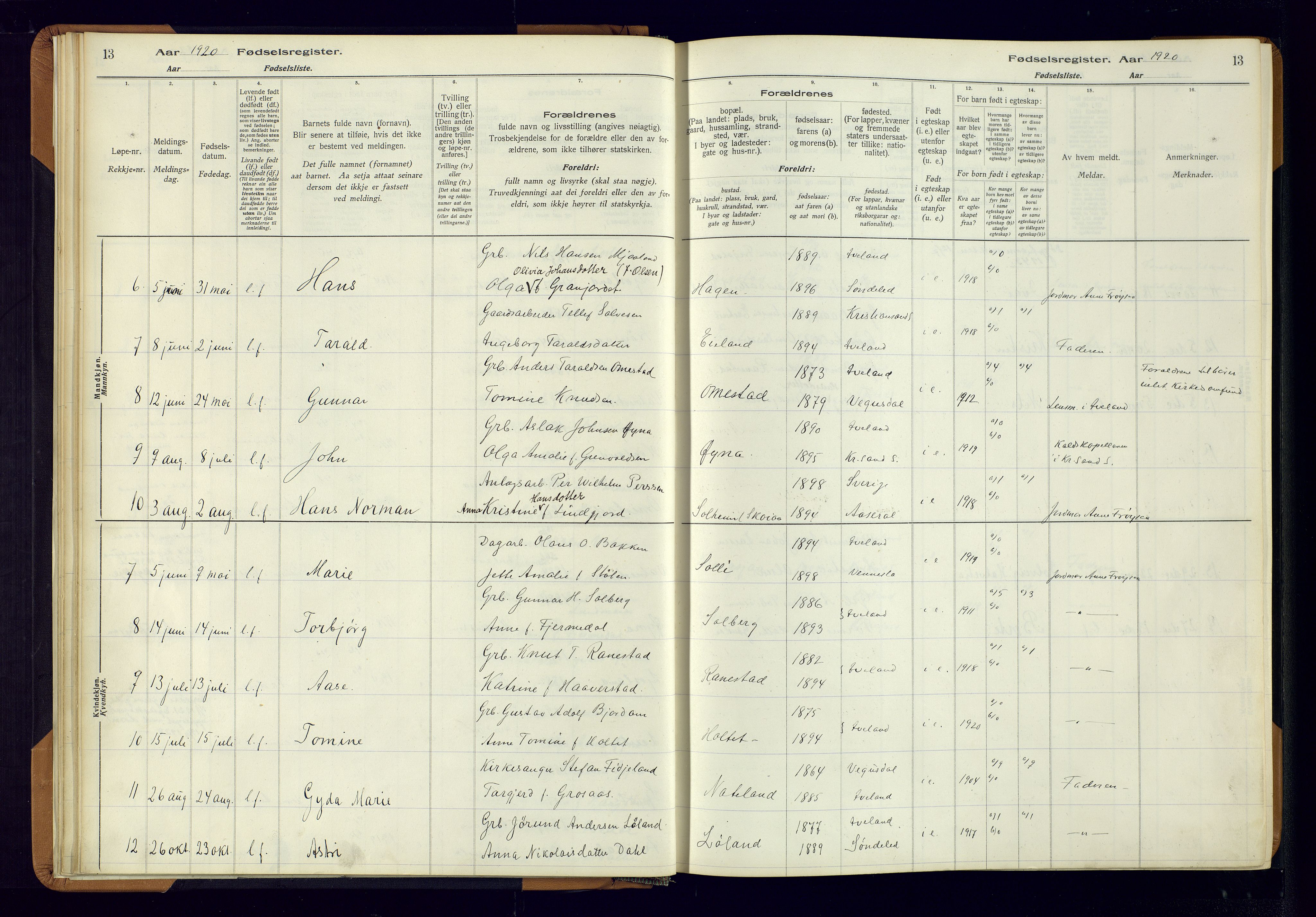 Evje sokneprestkontor, AV/SAK-1111-0008/J/Jc/L0003: Birth register no. II.4.3, 1916-1982, p. 13