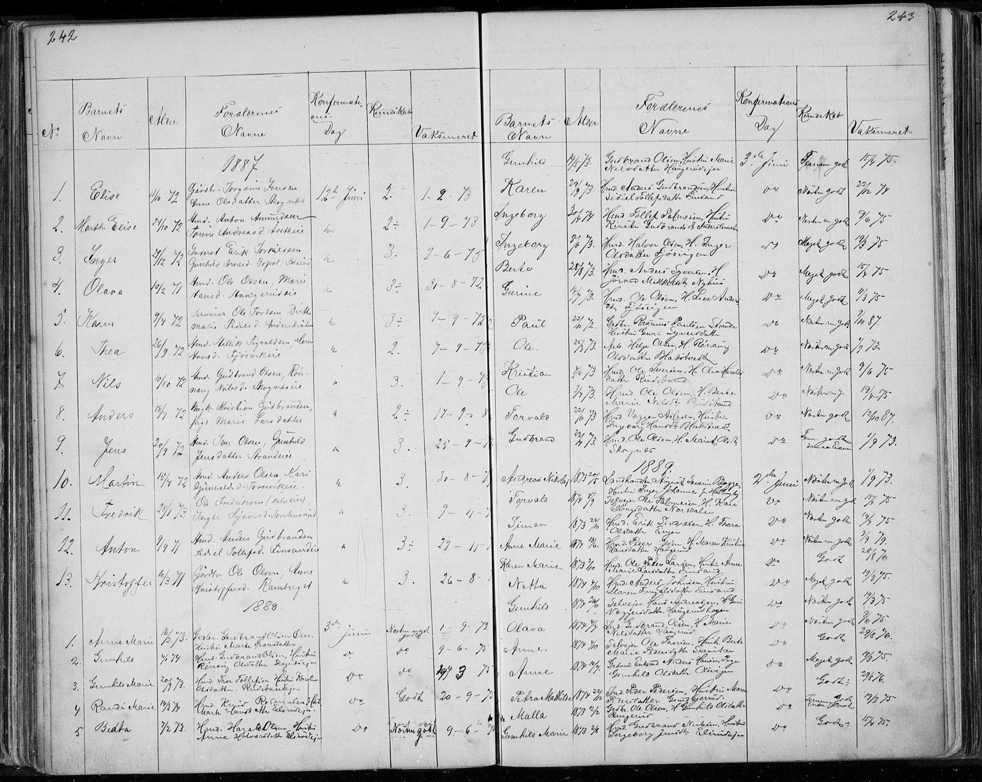 Ådal kirkebøker, SAKO/A-248/G/Ga/L0003: Parish register (copy) no. I 3, 1862-1891, p. 242-243