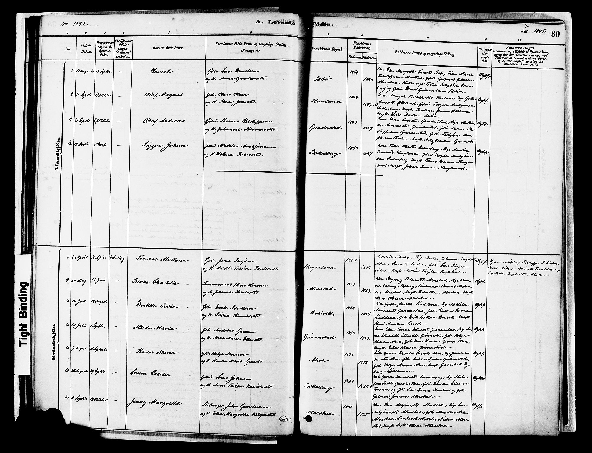 Tysvær sokneprestkontor, SAST/A -101864/H/Ha/Haa/L0007: Parish register (official) no. A 7, 1878-1897, p. 39