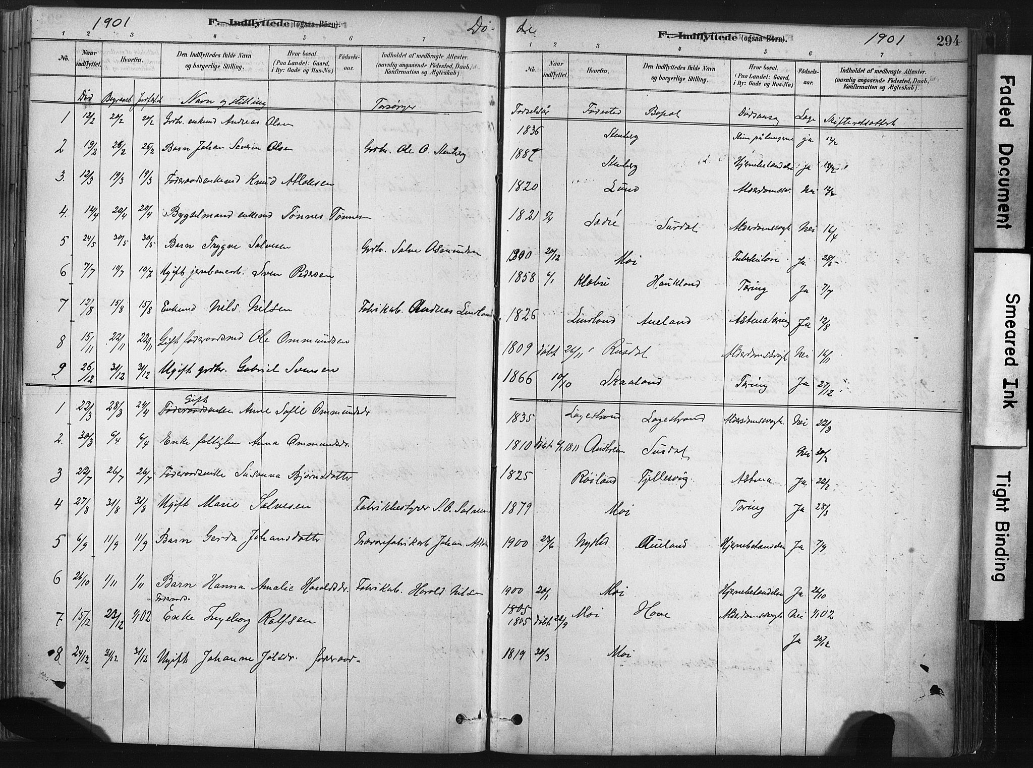 Lund sokneprestkontor, AV/SAST-A-101809/S06/L0011: Parish register (official) no. A 10, 1877-1904, p. 294