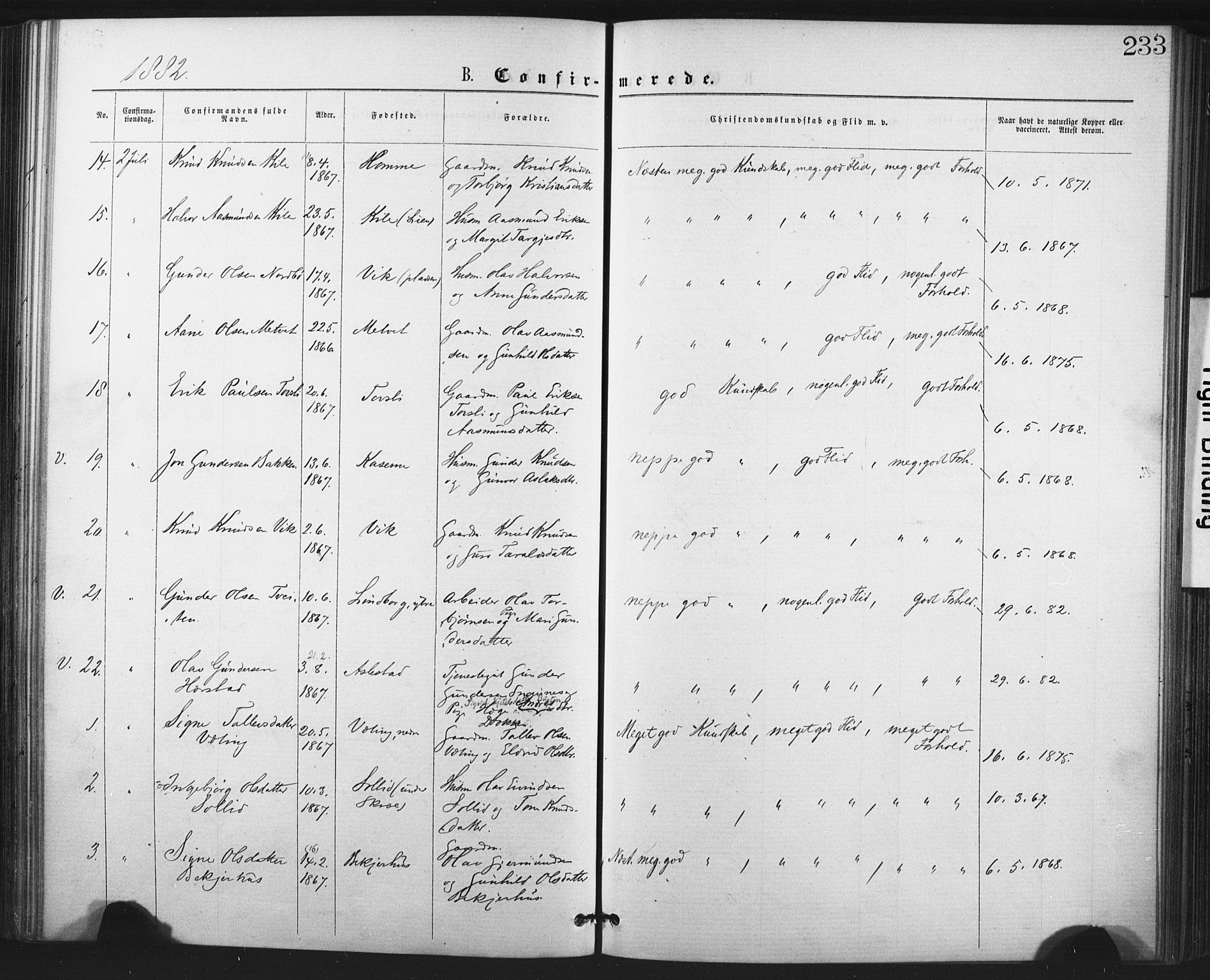 Fyresdal kirkebøker, SAKO/A-263/F/Fa/L0006: Parish register (official) no. I 6, 1872-1886, p. 233
