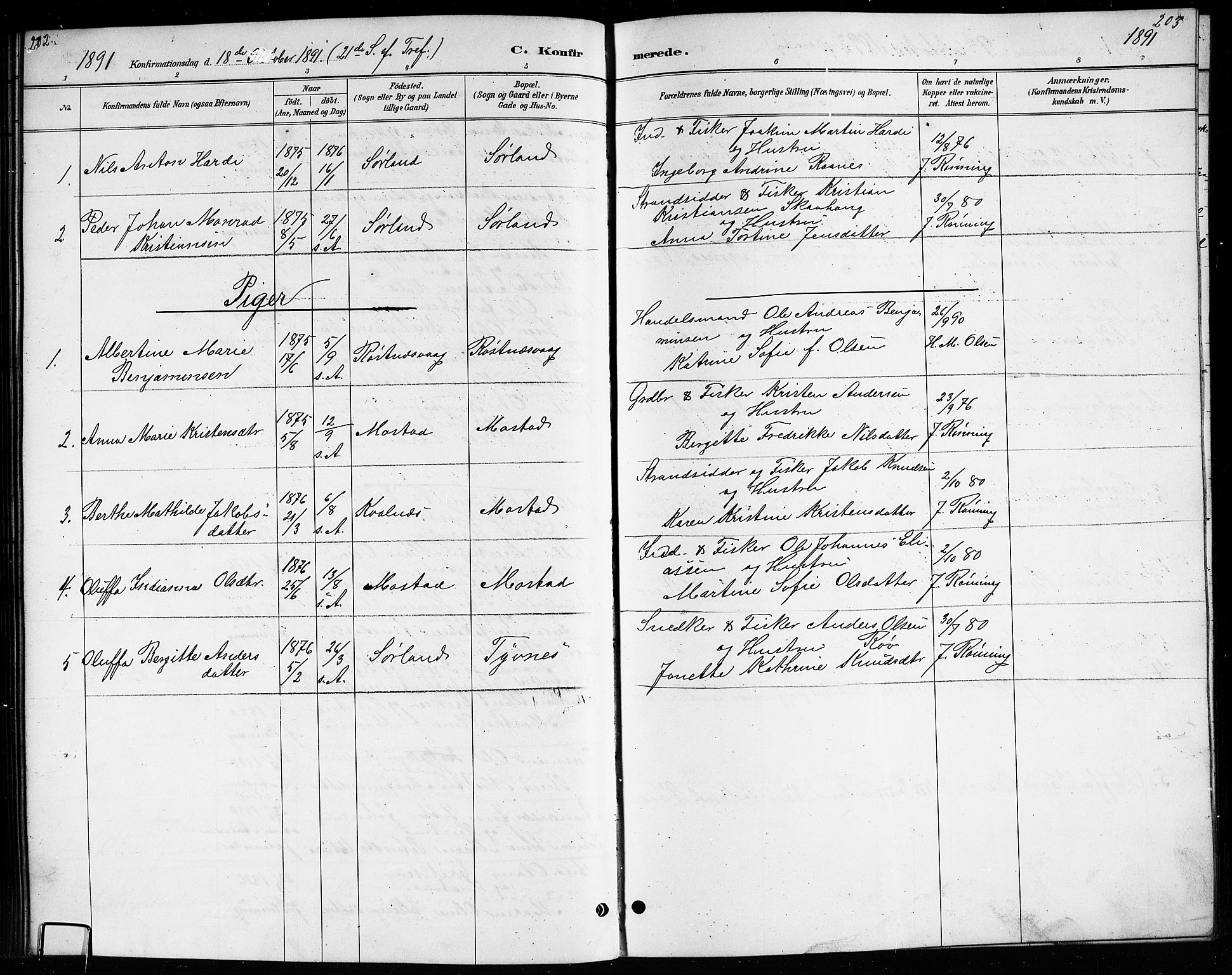 Ministerialprotokoller, klokkerbøker og fødselsregistre - Nordland, AV/SAT-A-1459/807/L0123: Parish register (copy) no. 807C01, 1884-1910, p. 202-203