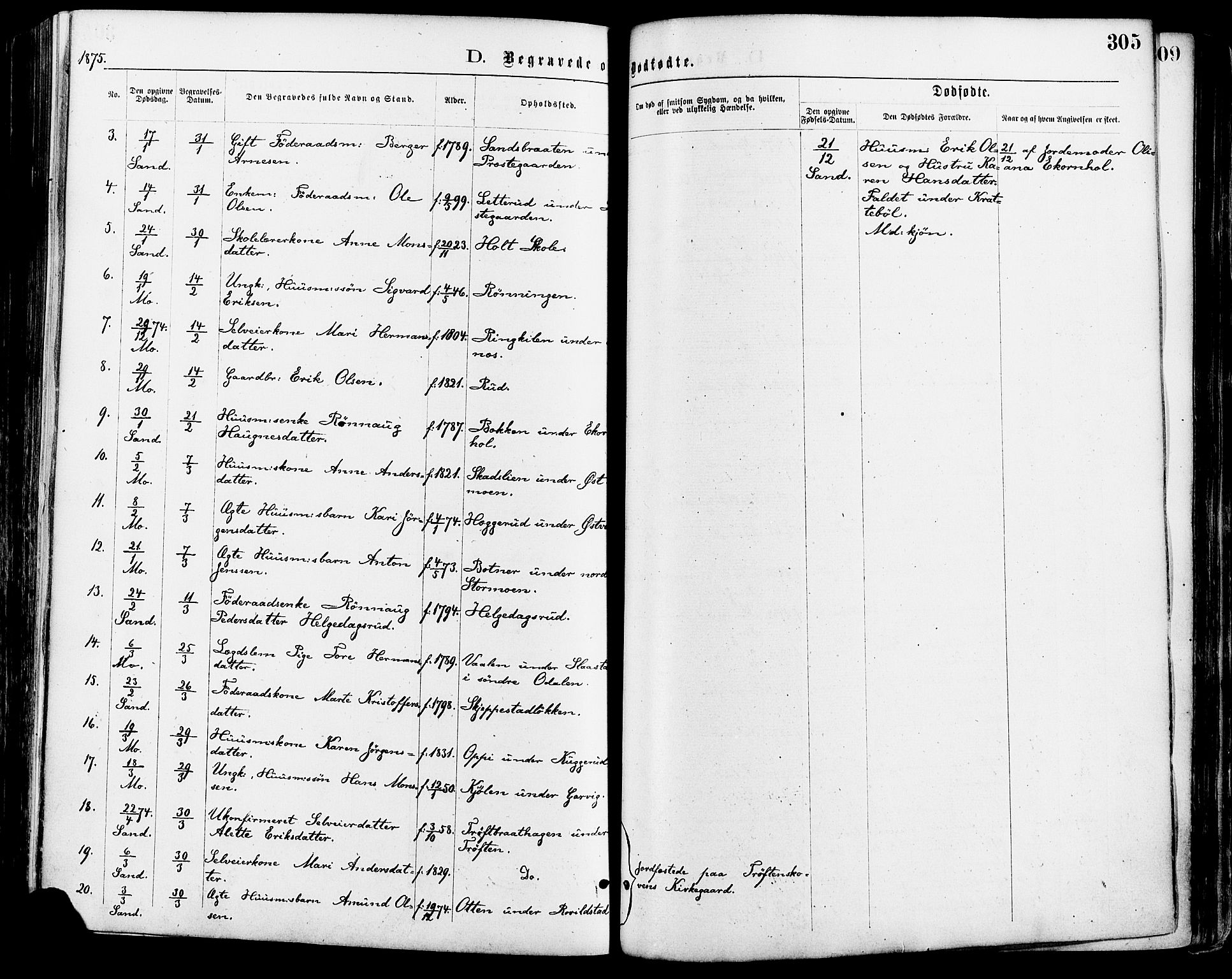 Nord-Odal prestekontor, AV/SAH-PREST-032/H/Ha/Haa/L0005: Parish register (official) no. 5, 1874-1885, p. 305