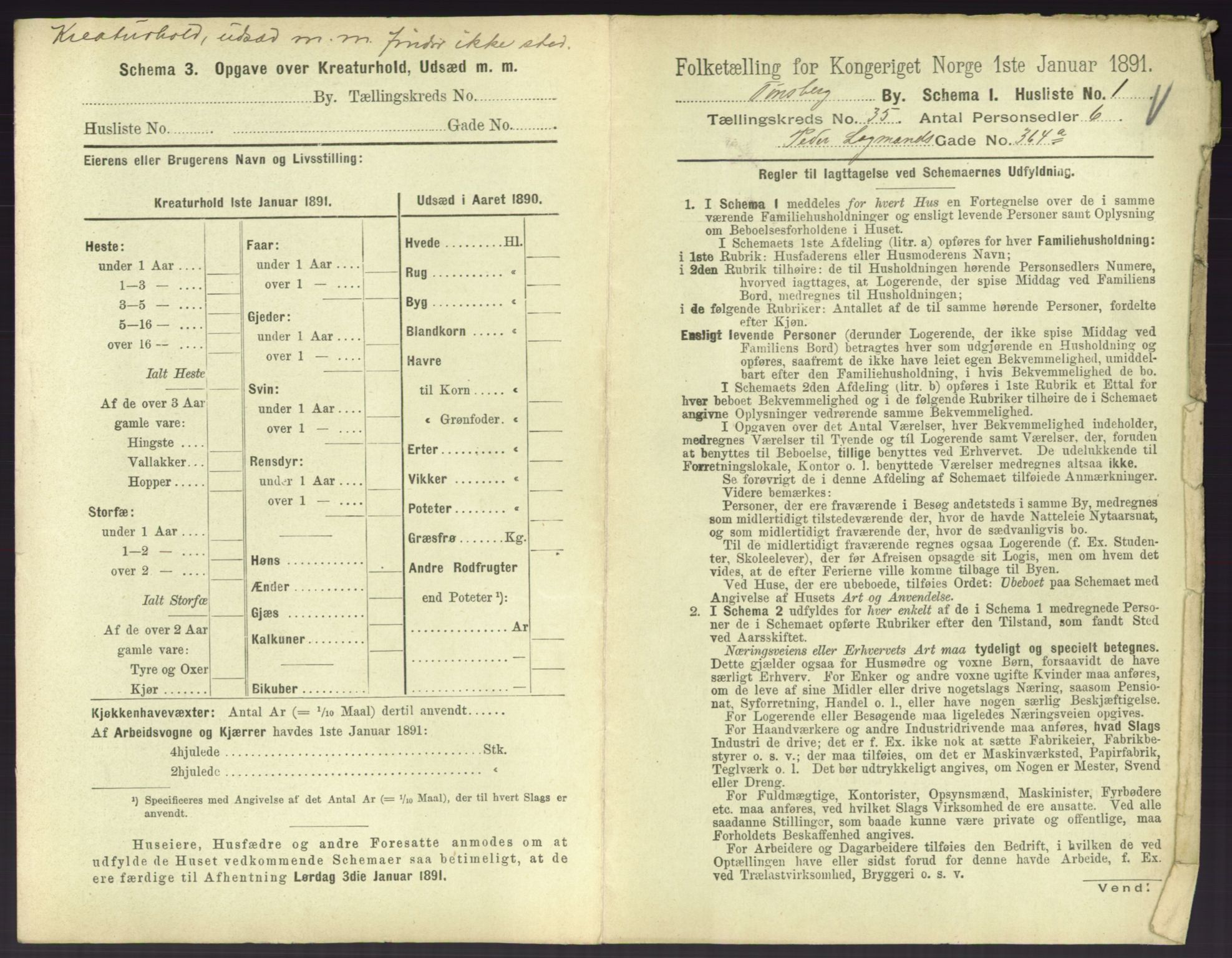 RA, 1891 census for 0705 Tønsberg, 1891, p. 1006