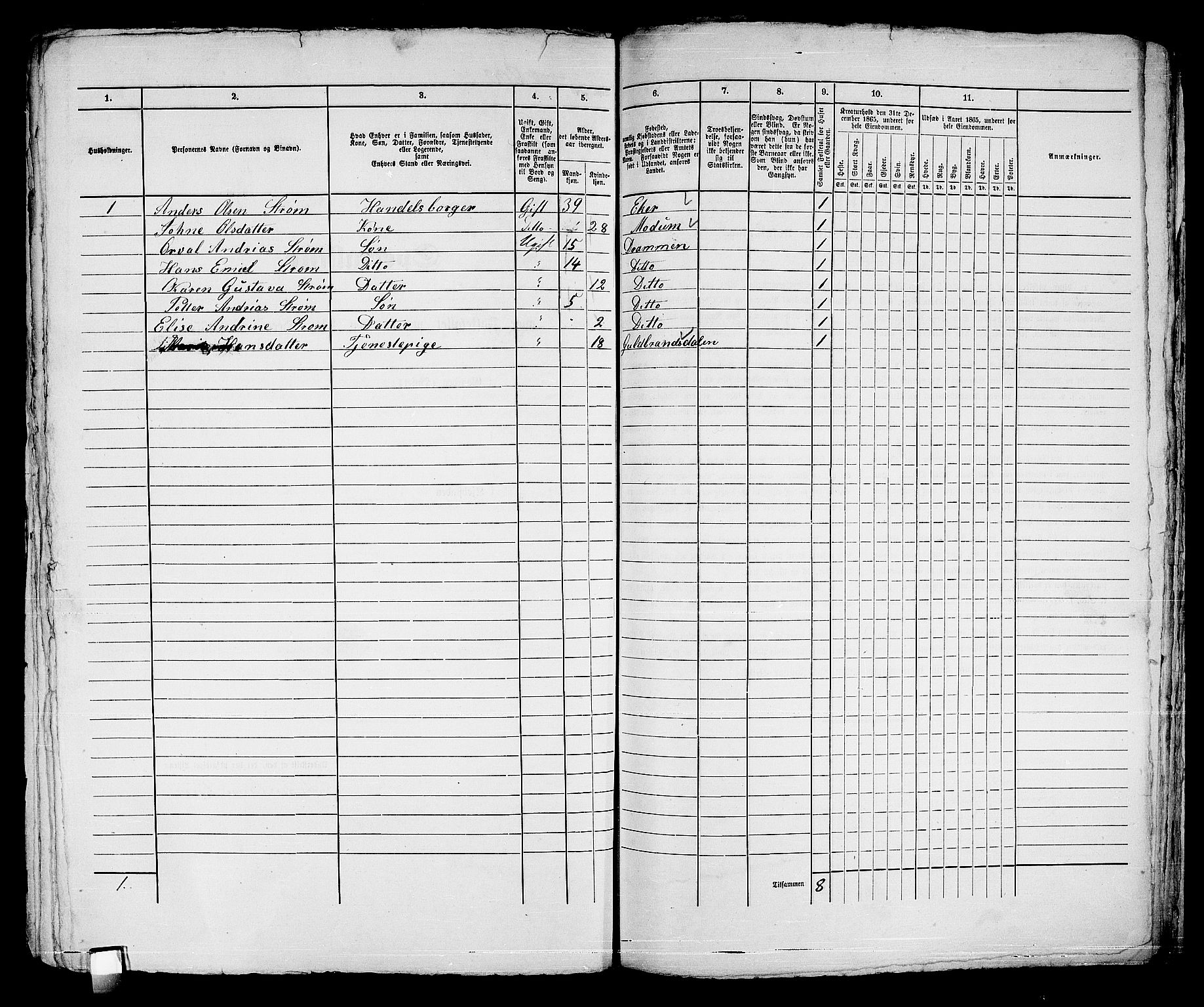 RA, 1865 census for Strømsø in Drammen, 1865, p. 414