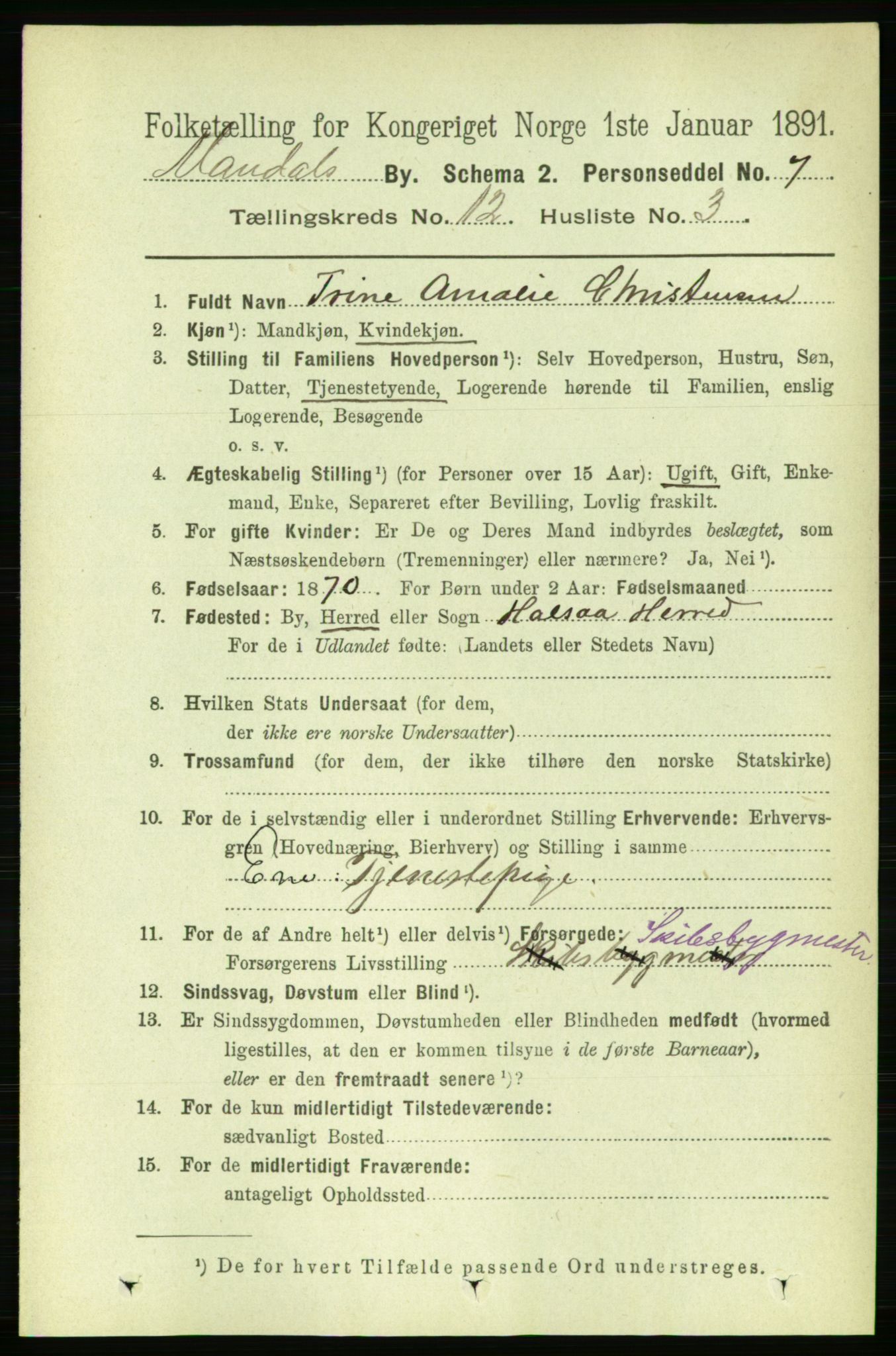 RA, 1891 census for 1002 Mandal, 1891, p. 2908