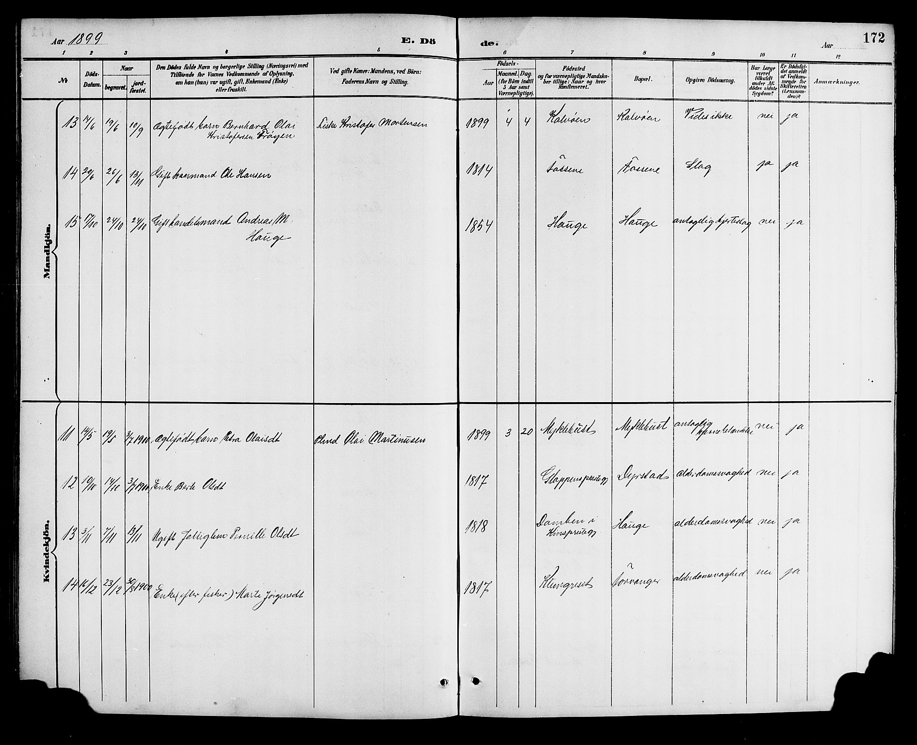 Bremanger sokneprestembete, AV/SAB-A-82201/H/Hab/Haba/L0003: Parish register (copy) no. A 3, 1890-1908, p. 172