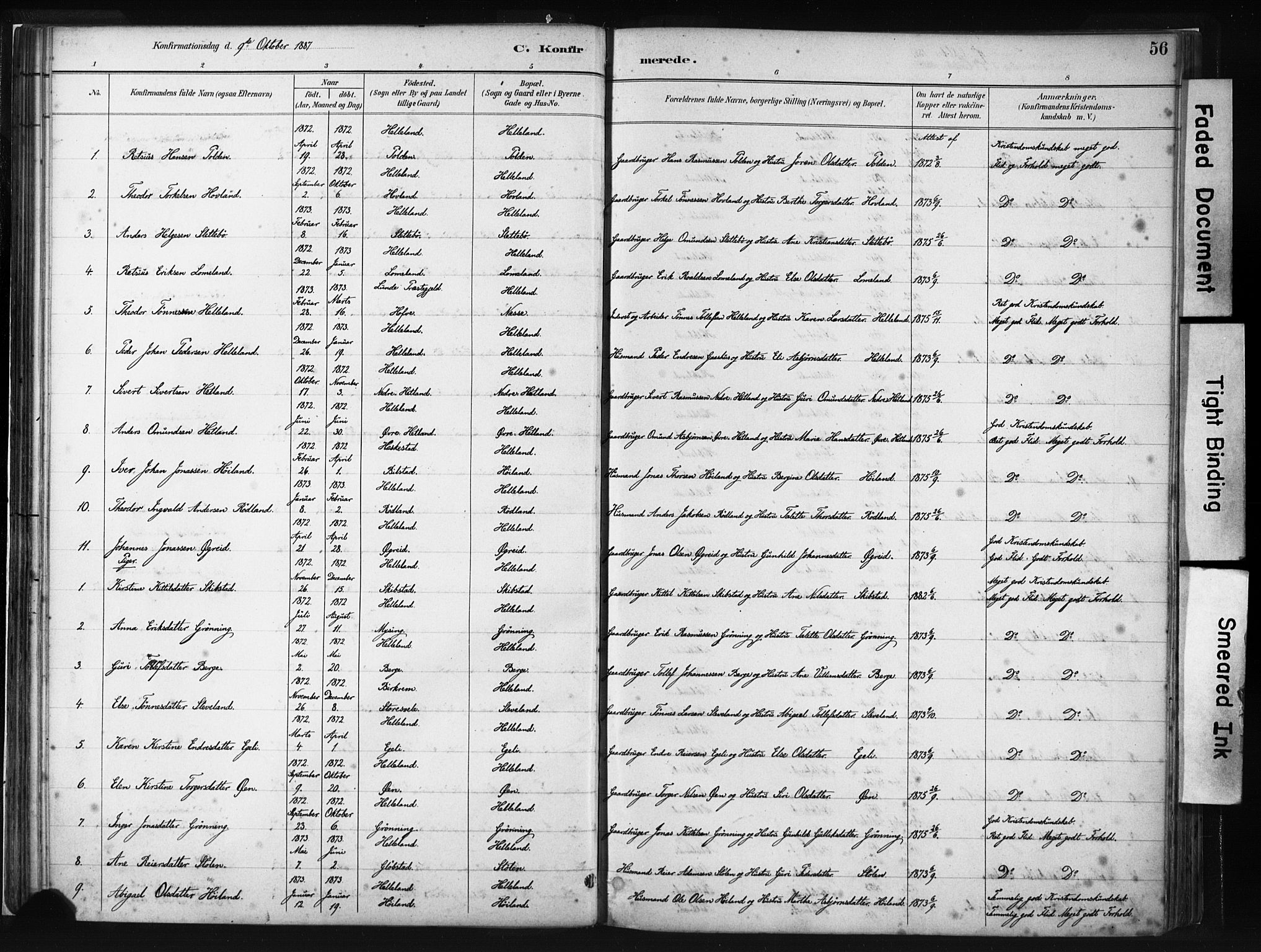 Helleland sokneprestkontor, AV/SAST-A-101810: Parish register (official) no. A 8, 1887-1907, p. 56